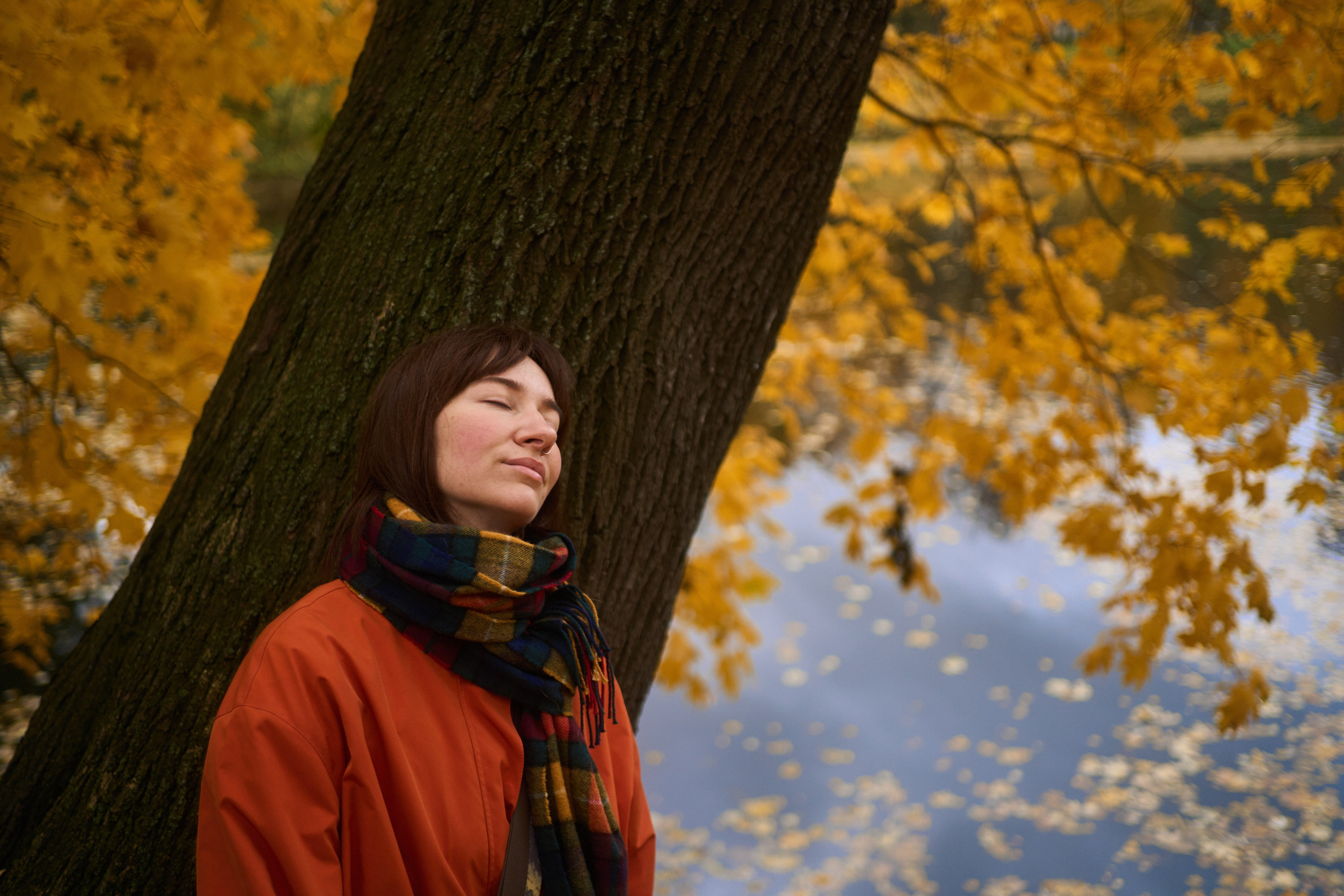Осенние Уши. Фотограф анималист Москва Дарья