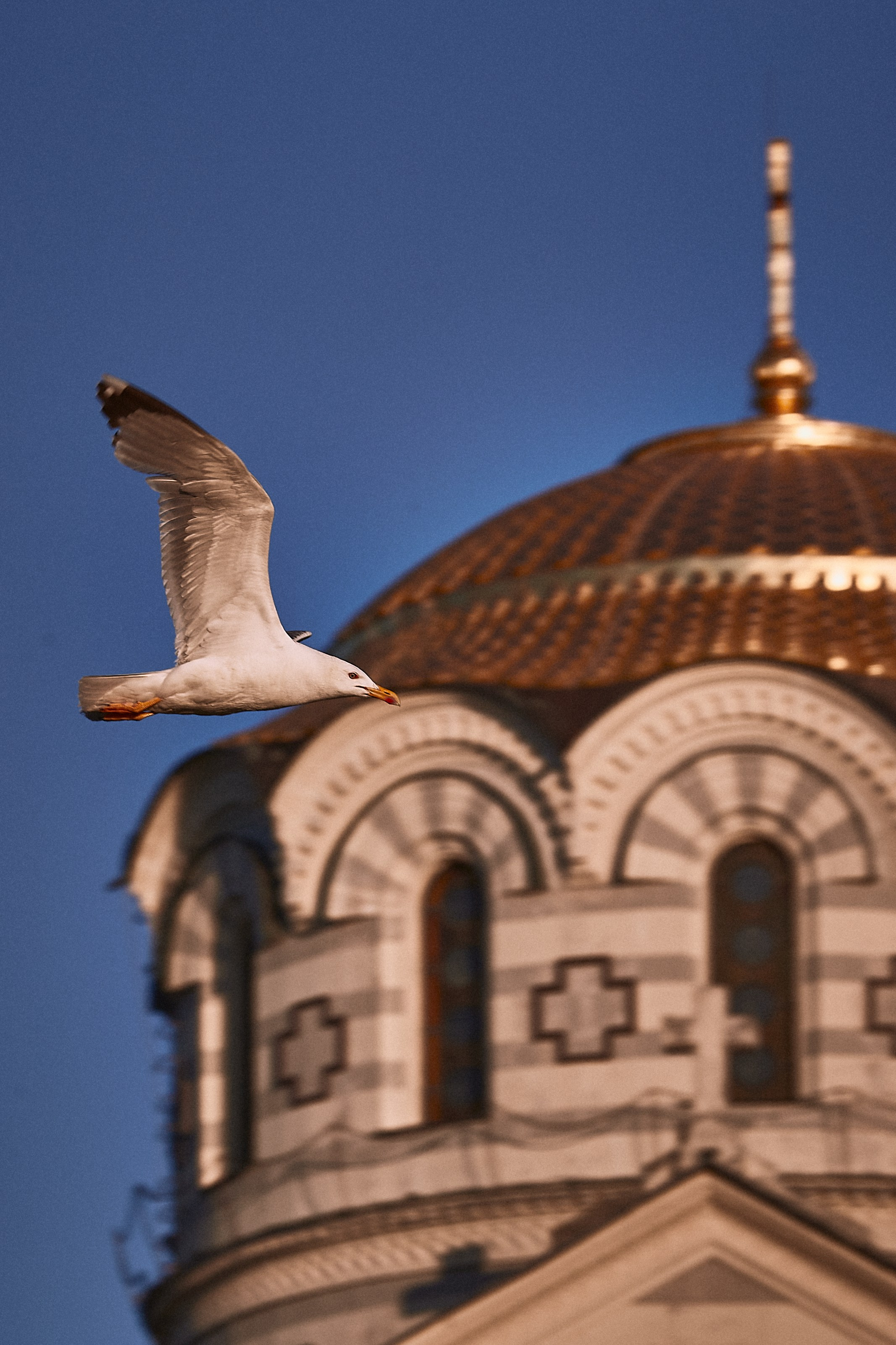 Стрит / Архитектура / Путешествия. Портретный, интерьерный и фуд фотограф в Перми Иван Вострецов