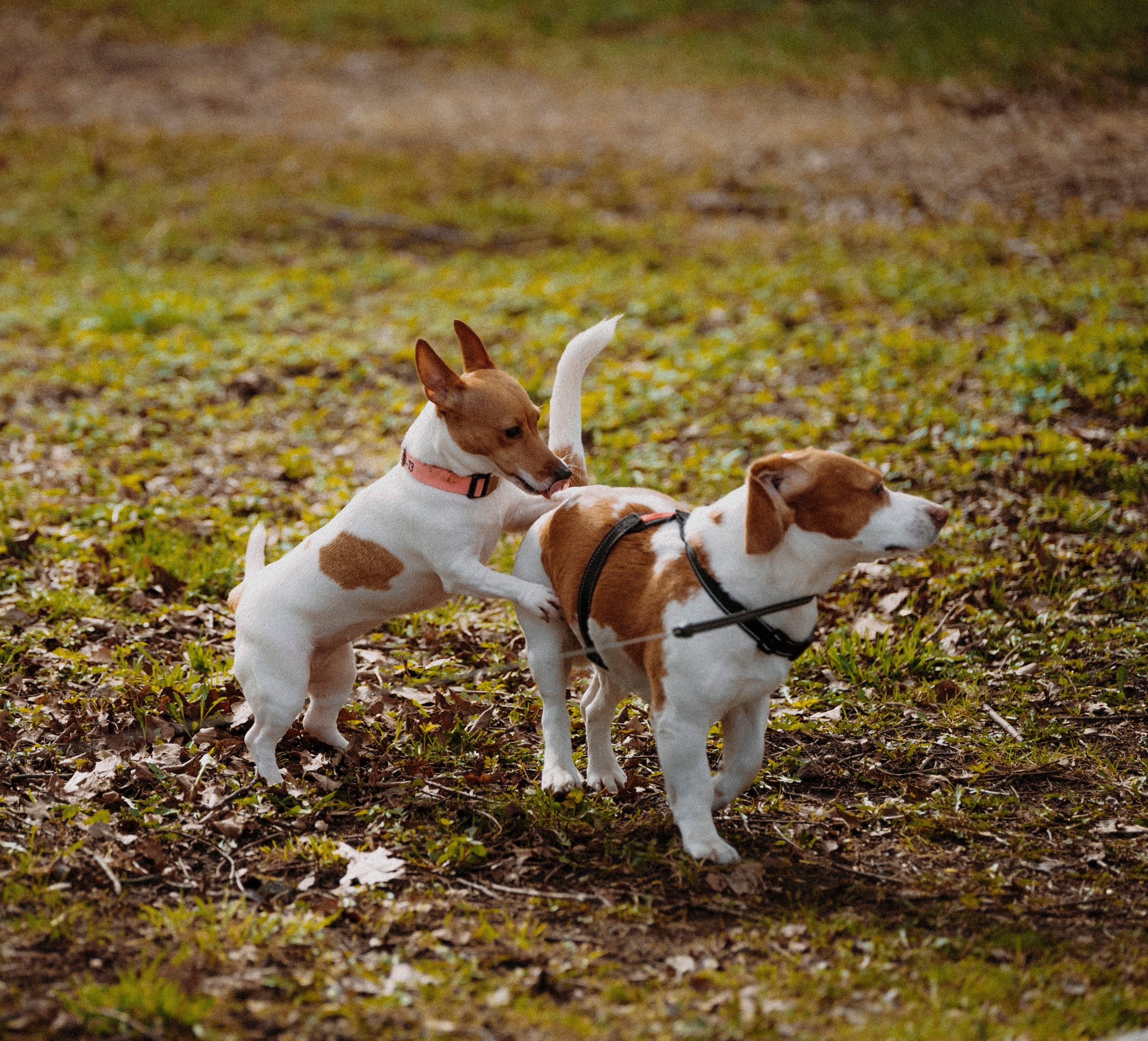 2024. Стрит-фотография, полная абсурда, идиотизма и красоты