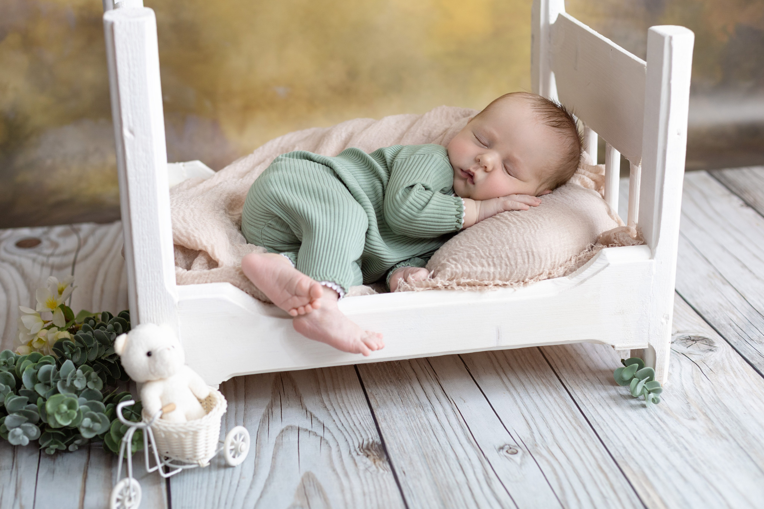 Лев. Ольга SHREIBICUS — Фотография беременности и новорожденных Оренбург