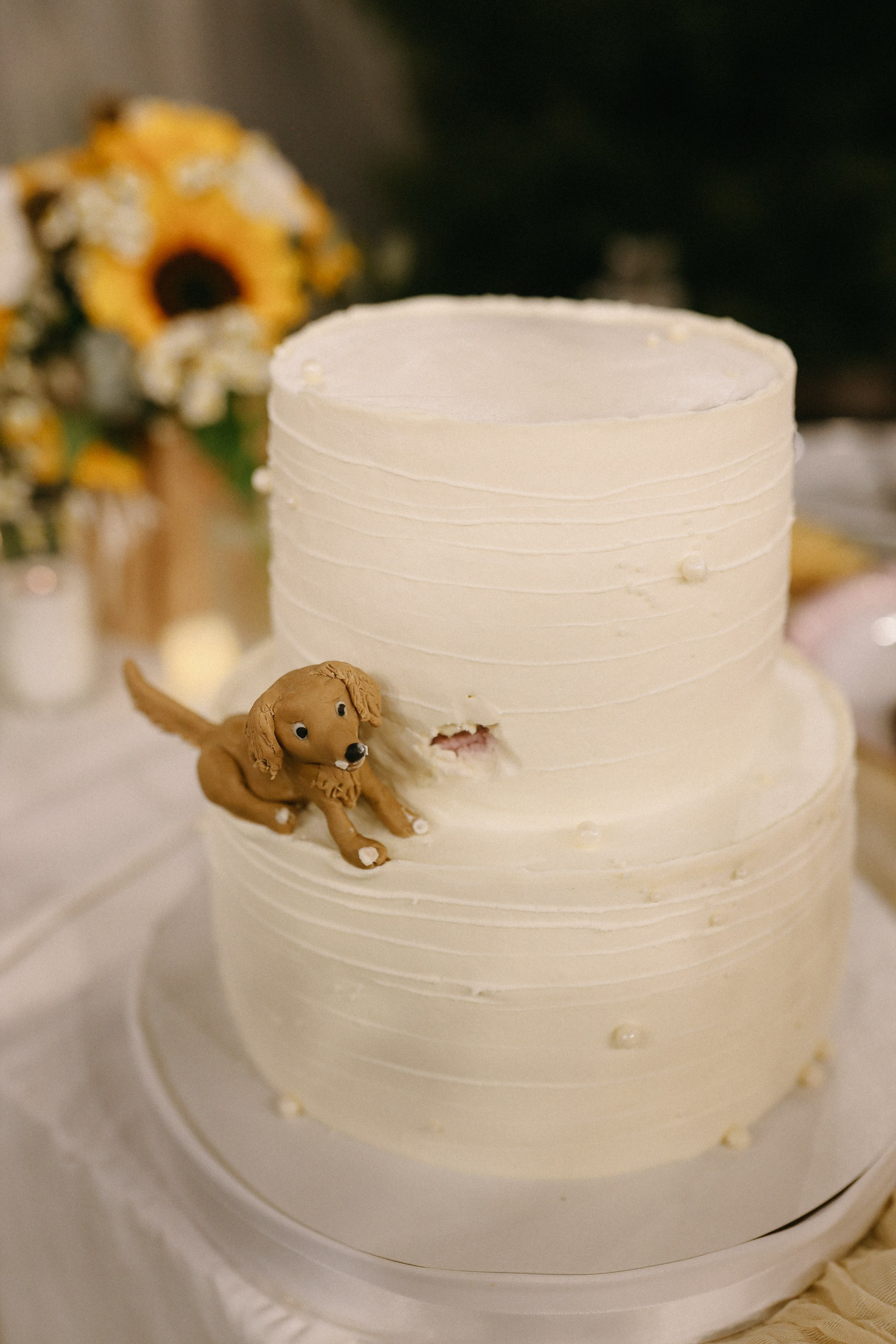 Елизавета и Семен. Свадебный фотограф Волгоград и Волжский Евгения Кимлач