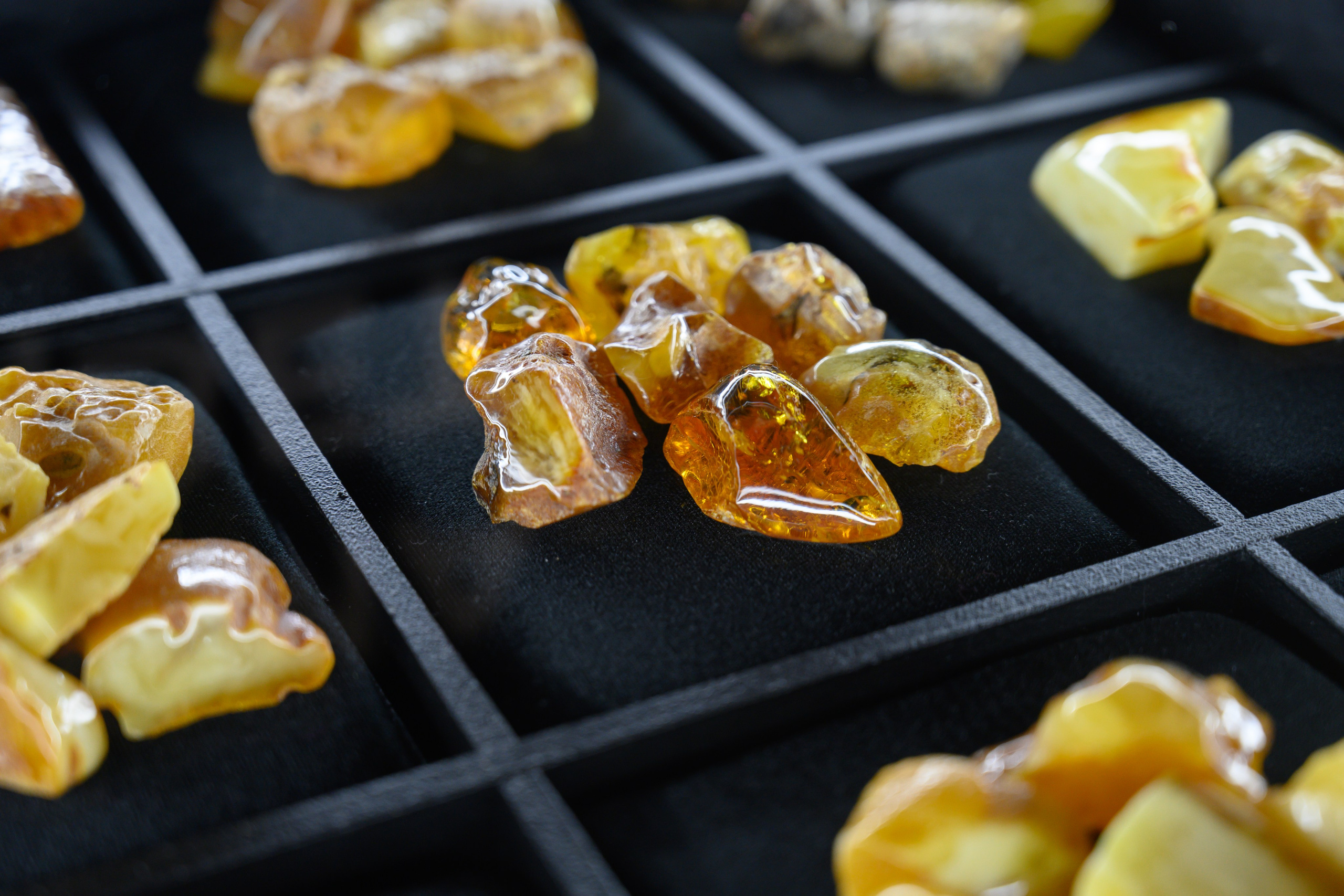 Репортажная съемка. Фотограф Андрей Зикеев, фотостудия AzArt Studio в Москве