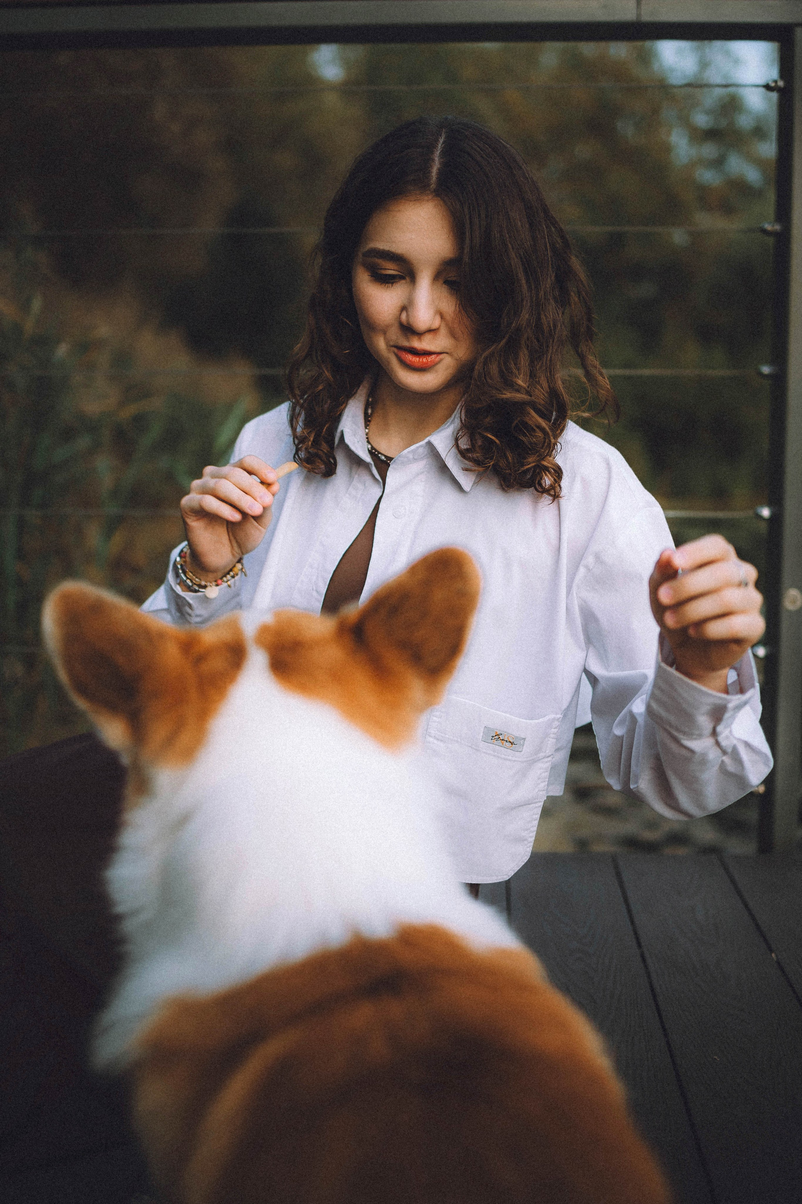 Арчи и его семья