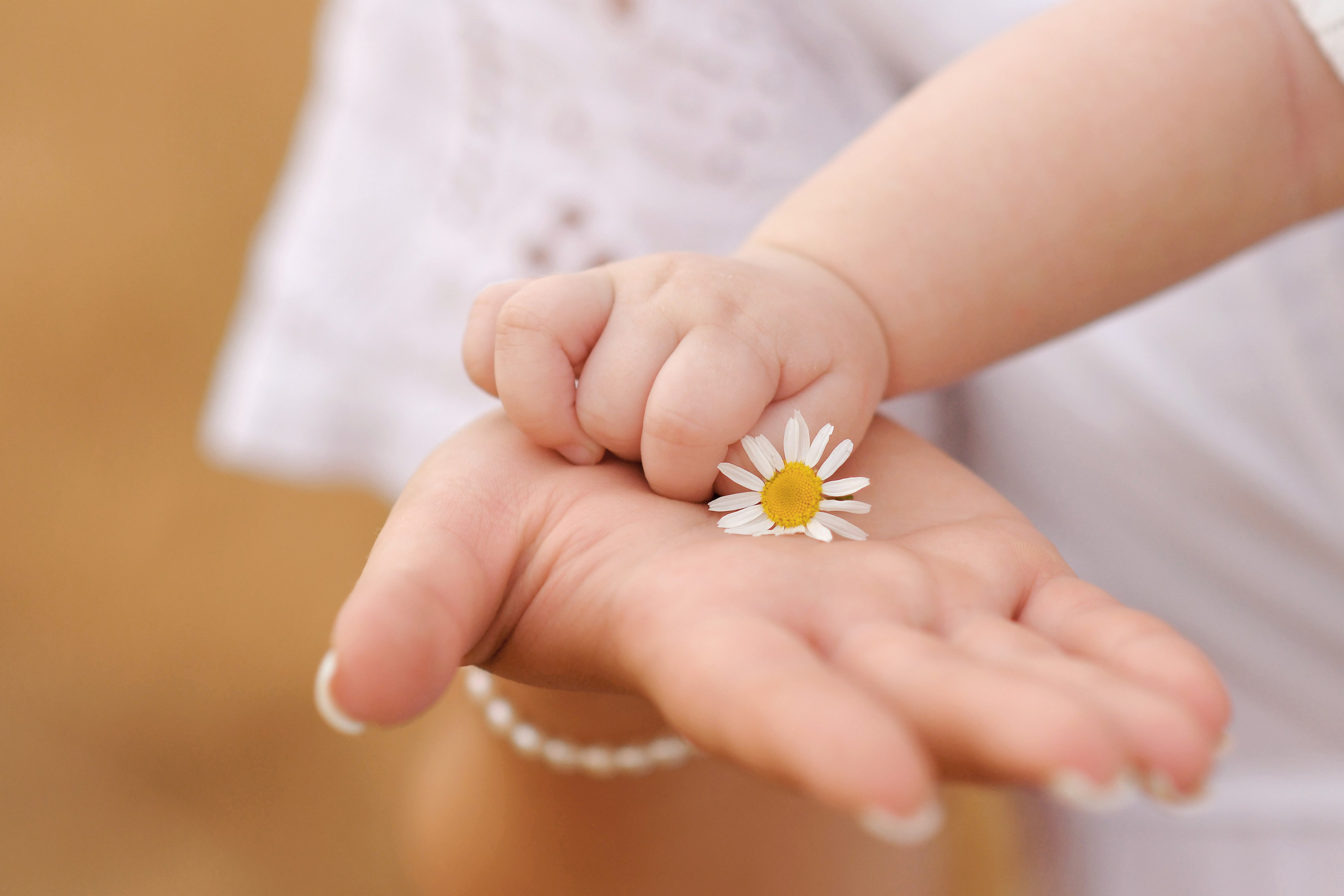 Портфолио. Фотограф Ольга Холина|Дебальцево