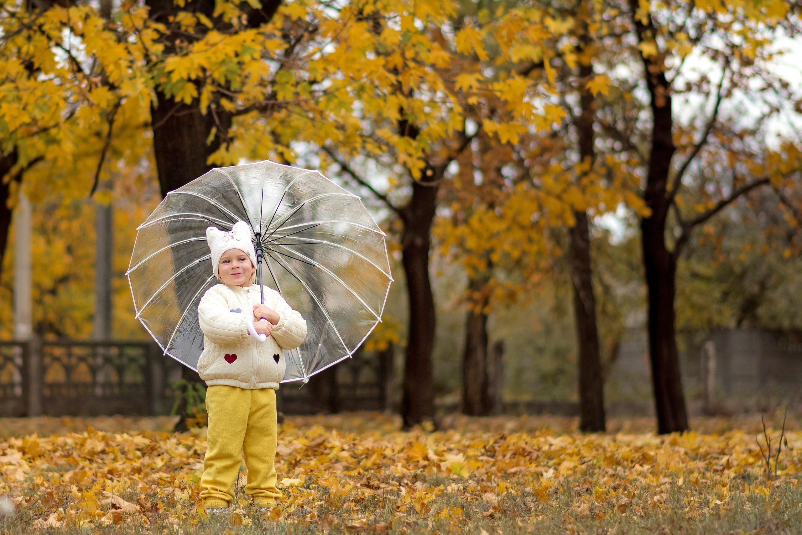 Осень. Фотограф Ольга Холина|Дебальцево