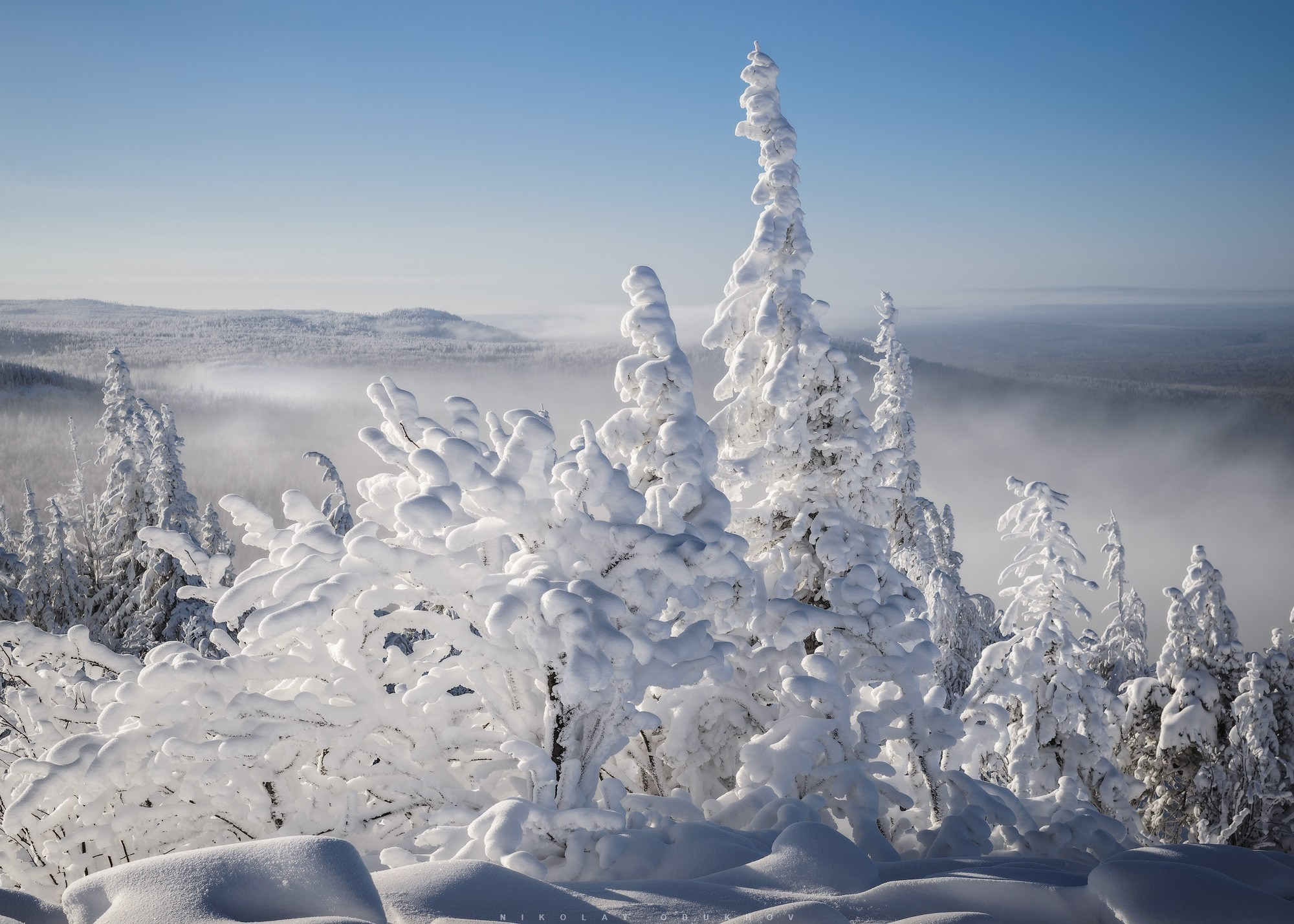 Зимний пейзаж Уральских гор — заснеженные ели и чистое небо над горой Белой.  