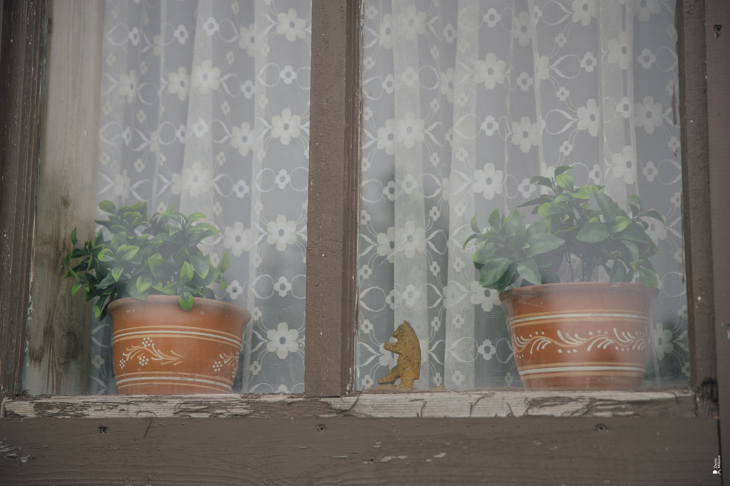 Женский Митрофаниевский скит Важеозерского мужского монастыря. Портретный фотограф Денис Милютин