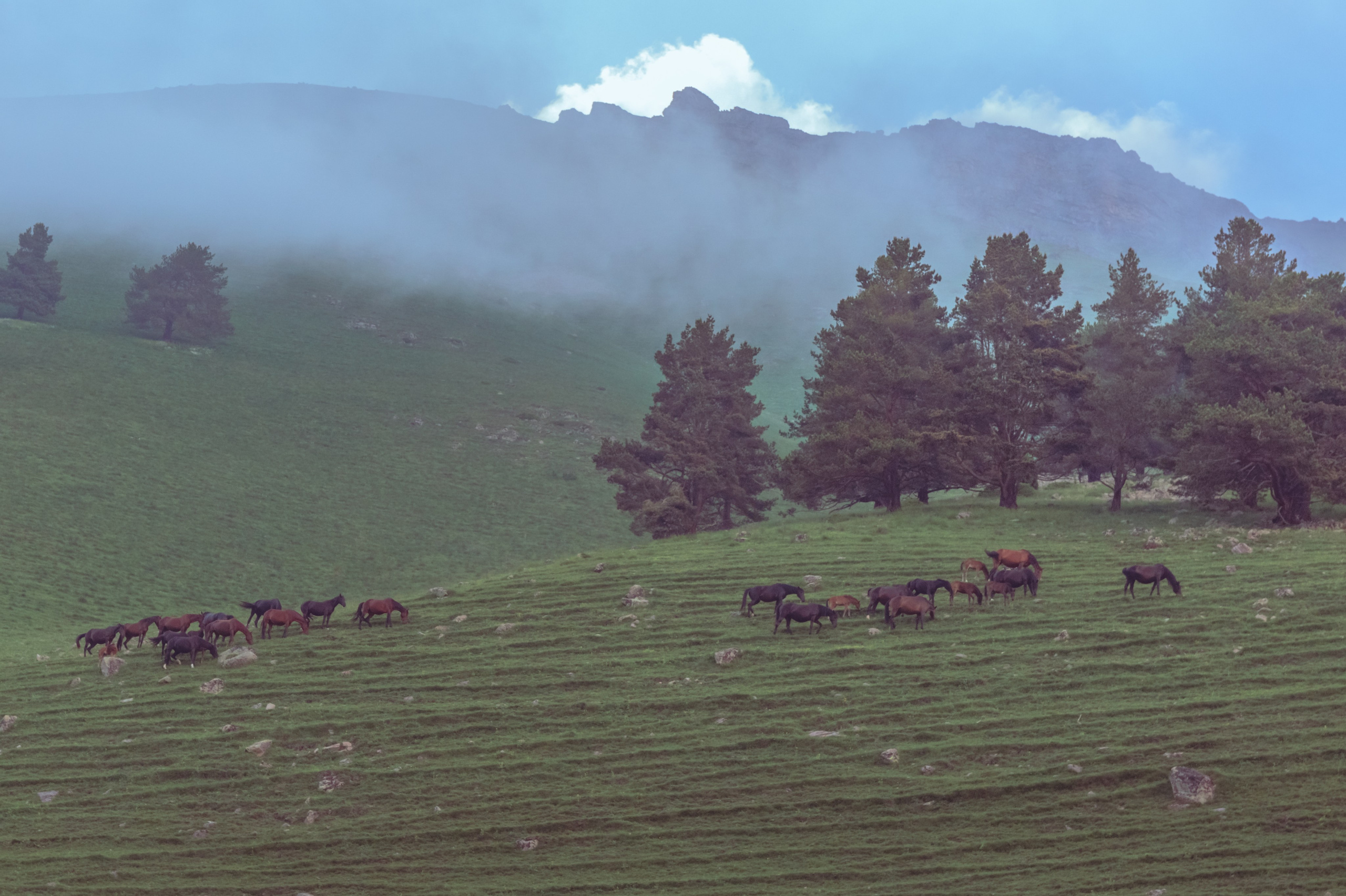 Фототур в Карачаево-Черкесию: Домбай, Шоанинский храм | Светлана Корнелюк, Екатеринбург