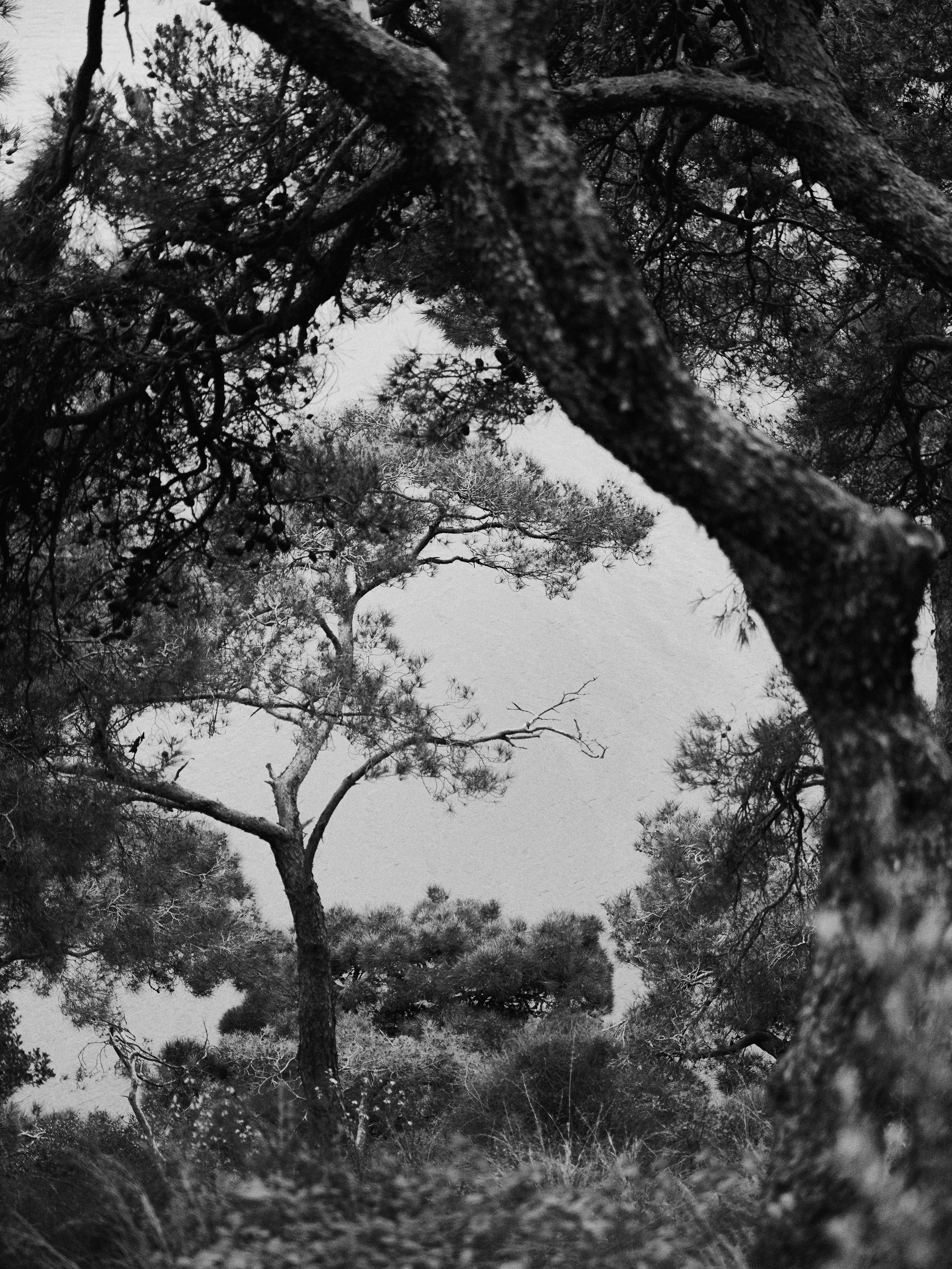 B&W. Jorgis — фотограф в Хургаде / обучение фотографии