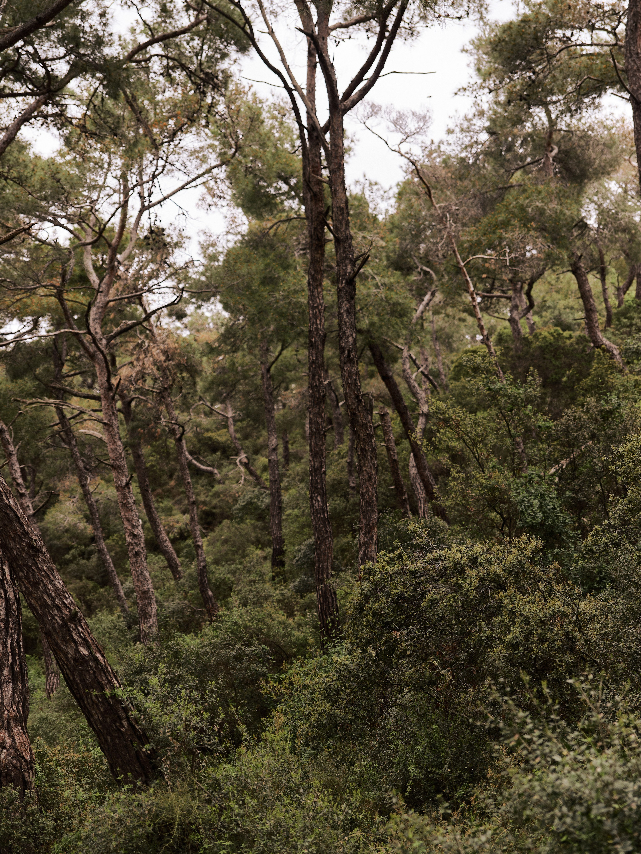 Природа. Jorgis Talè — photographer, kind person, teacher of arts and other mag