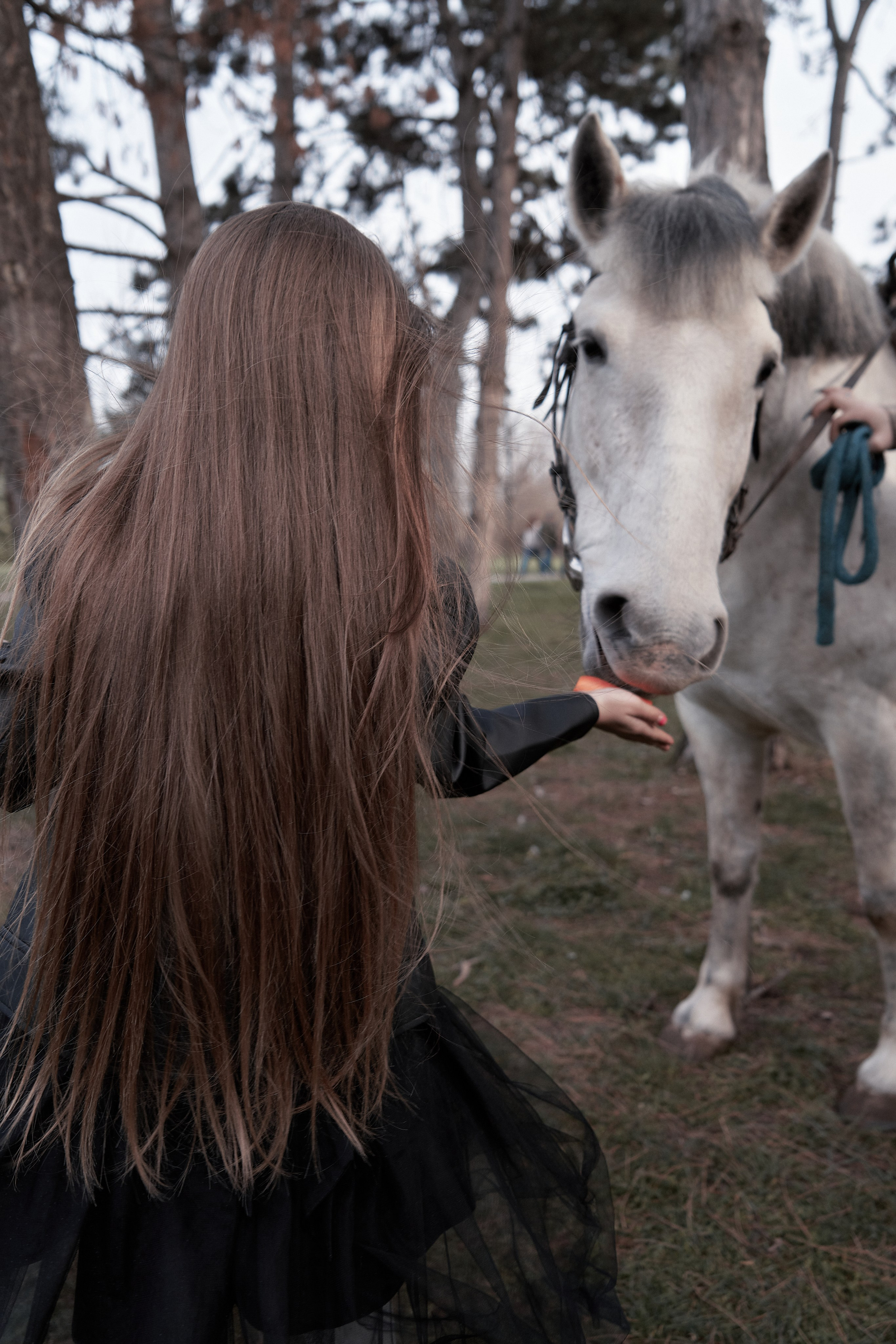 Детская фотосессия с лошадкой. Фотограф в Краснодаре Татьяна Вижевитова