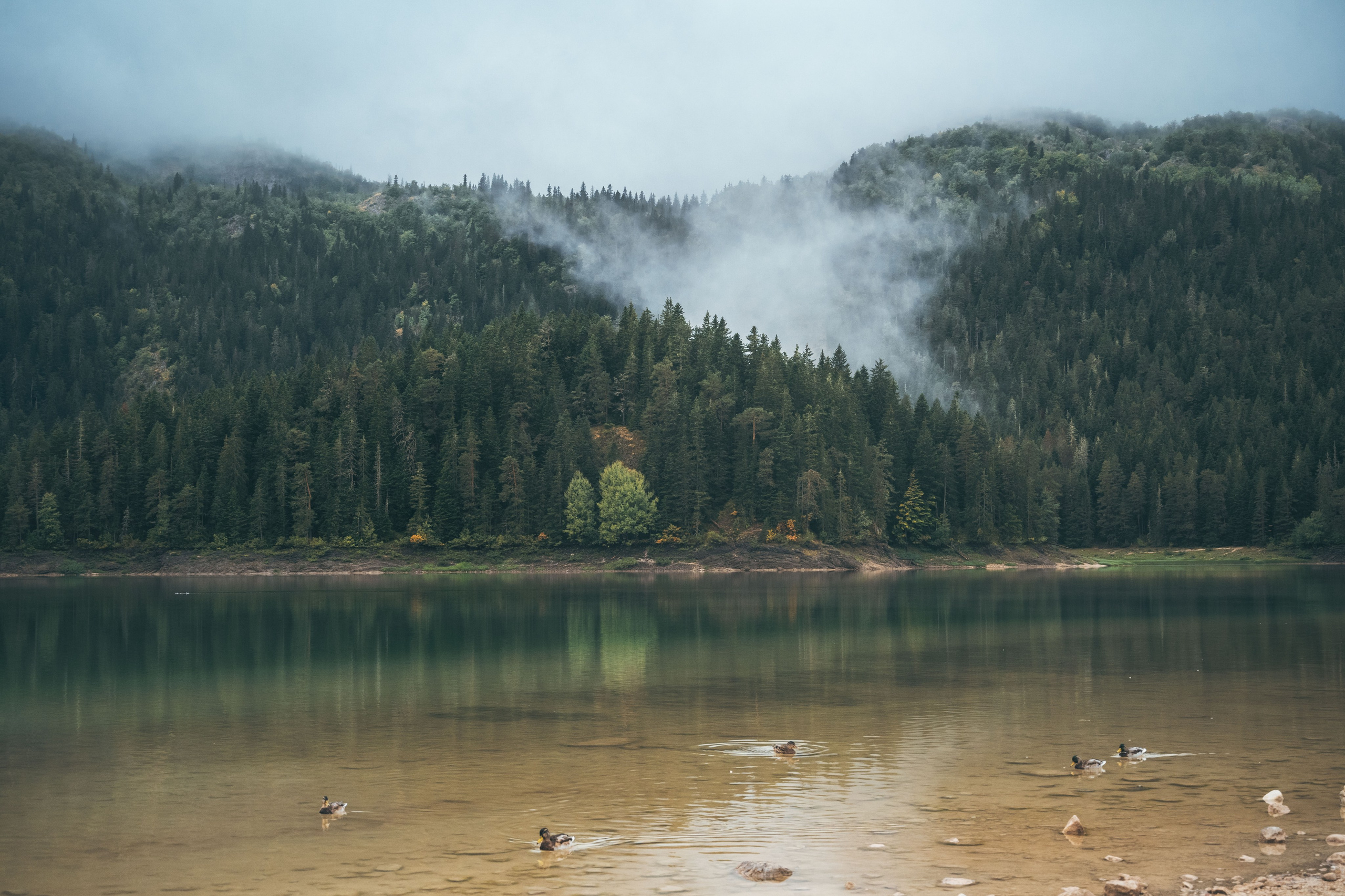 ДУРМИТОР. ЧЕРНОЕ ОЗЕРО. Фотограф в Белграде Чугреева Елена
