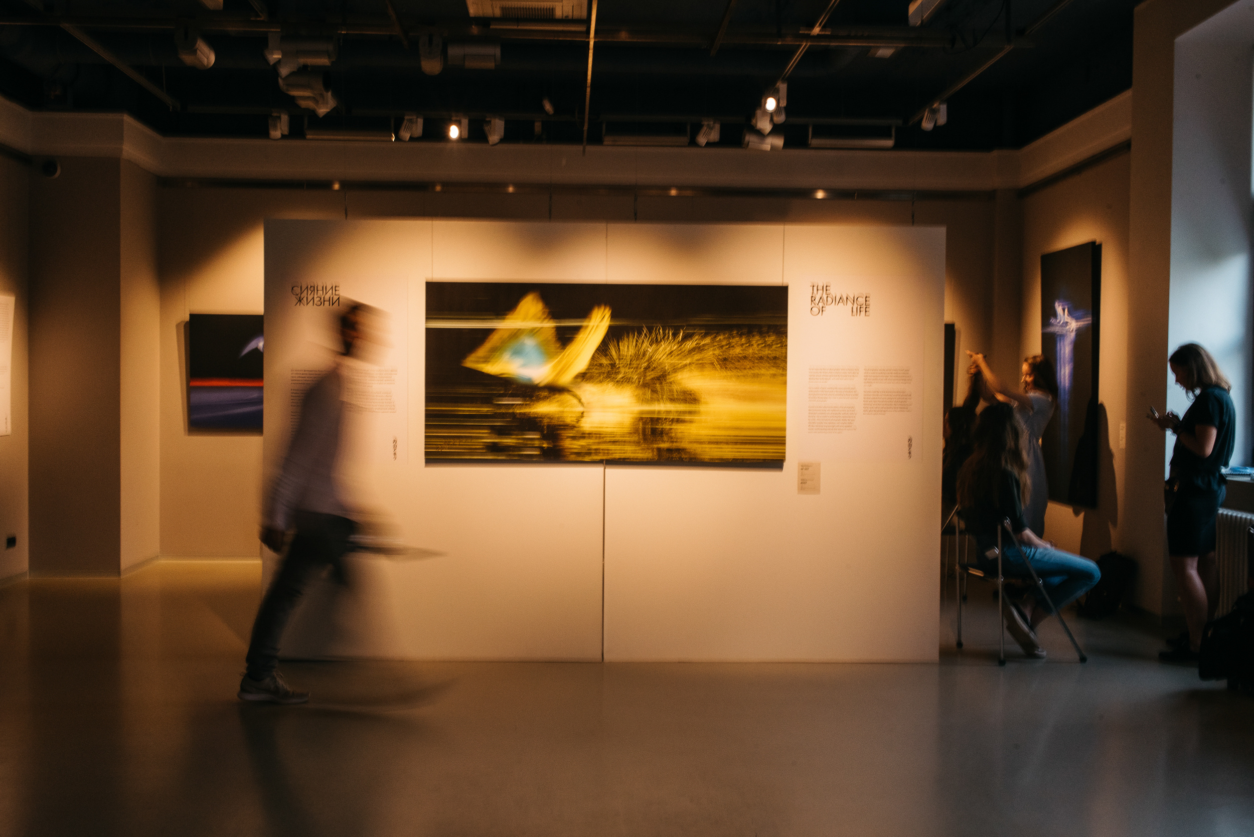 LA REDOUTE. Свадебный и репортажный фотограф Юров Дмитрий