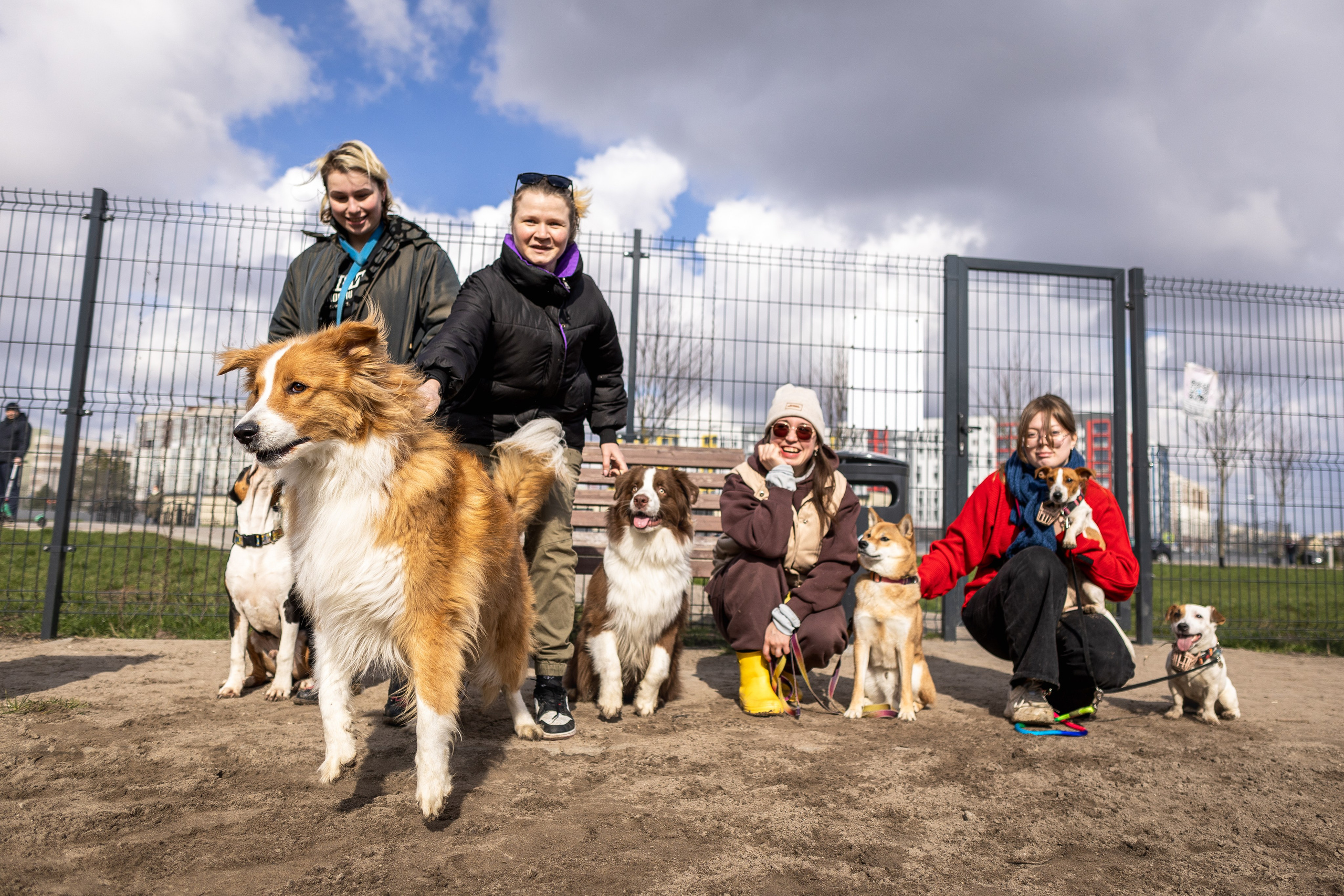 Догтуса 24.03.2024. Ирина Голомб|Фотограф-анималист в  Сочи и Калининграде