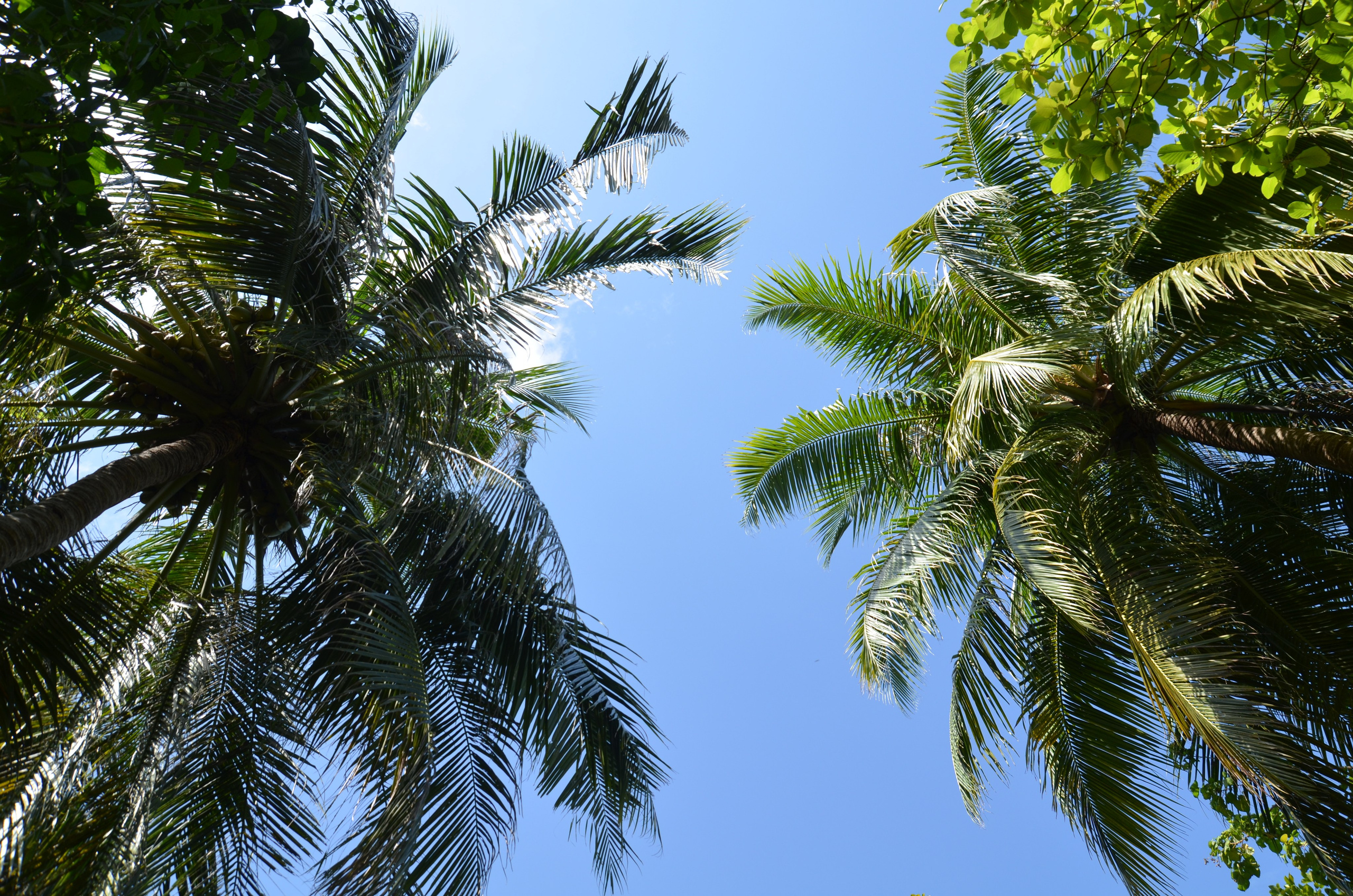 Визуальный дневник фотографа