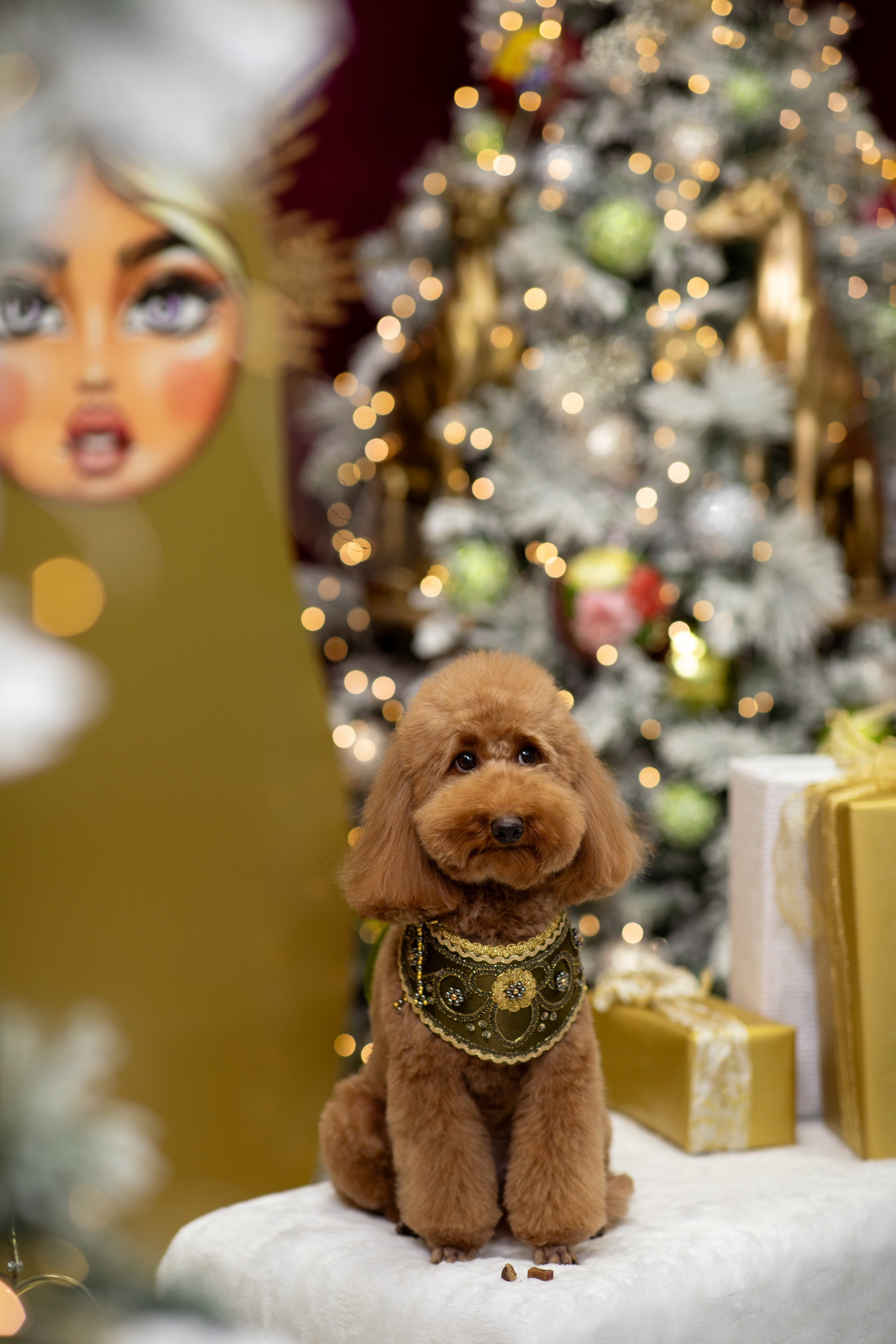 ФОТОСЪЕМКА ЖИВОТНЫХ В СУРГУТЕ