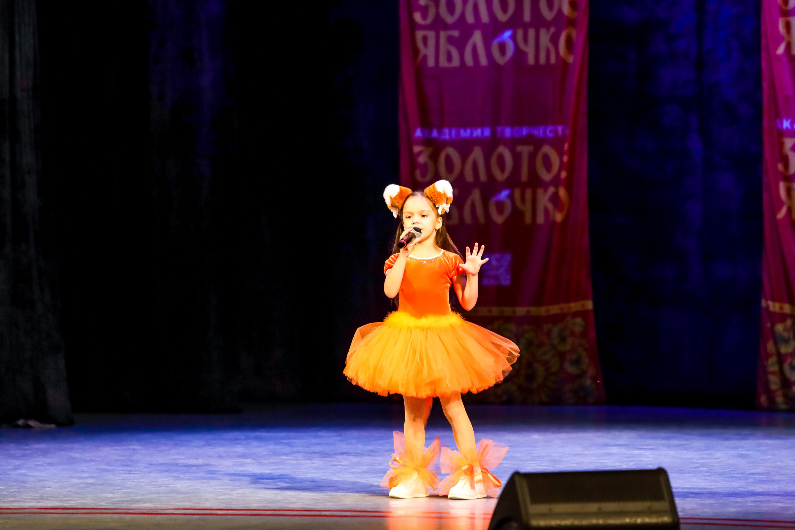 30 ноября, г. Ярославль. Золотое яблочко