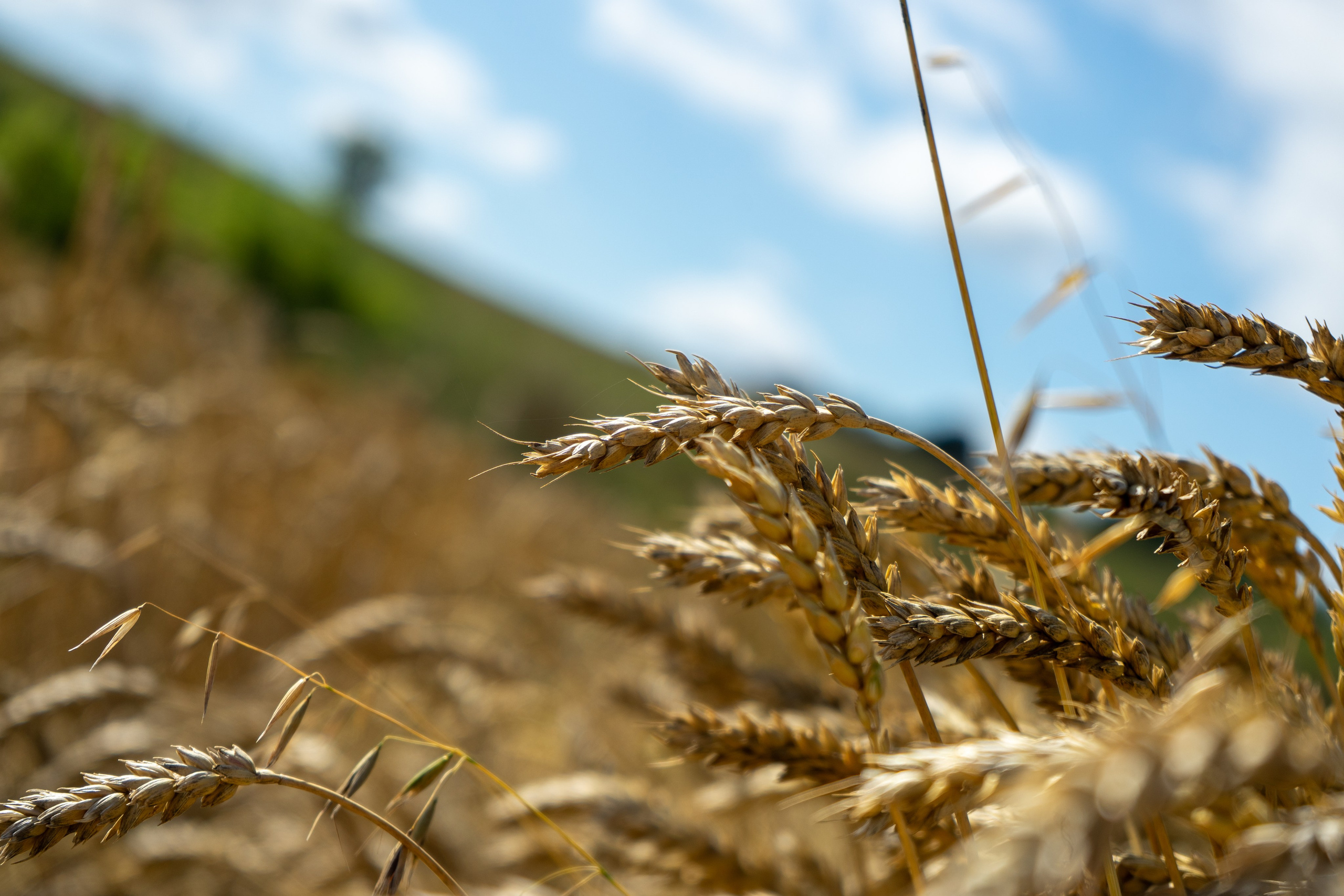 Семейные съемки. Фотограф из Чистополя