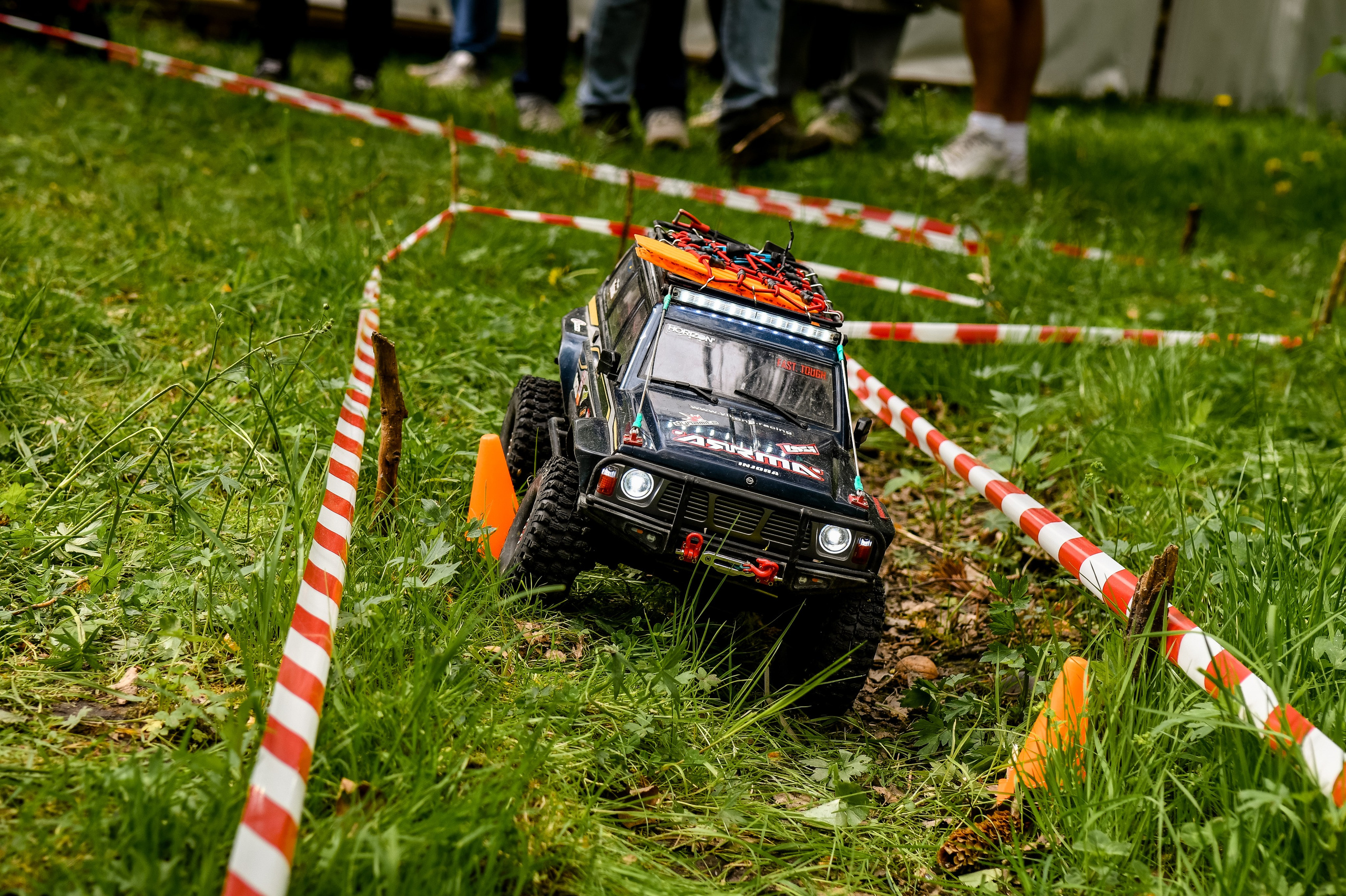 1 июня 2025 год Елагин слёт. ОЛЕСЯ ШАФЕРОВА / ВАШ ФОТОГРАФ в Санкт-Петербурге