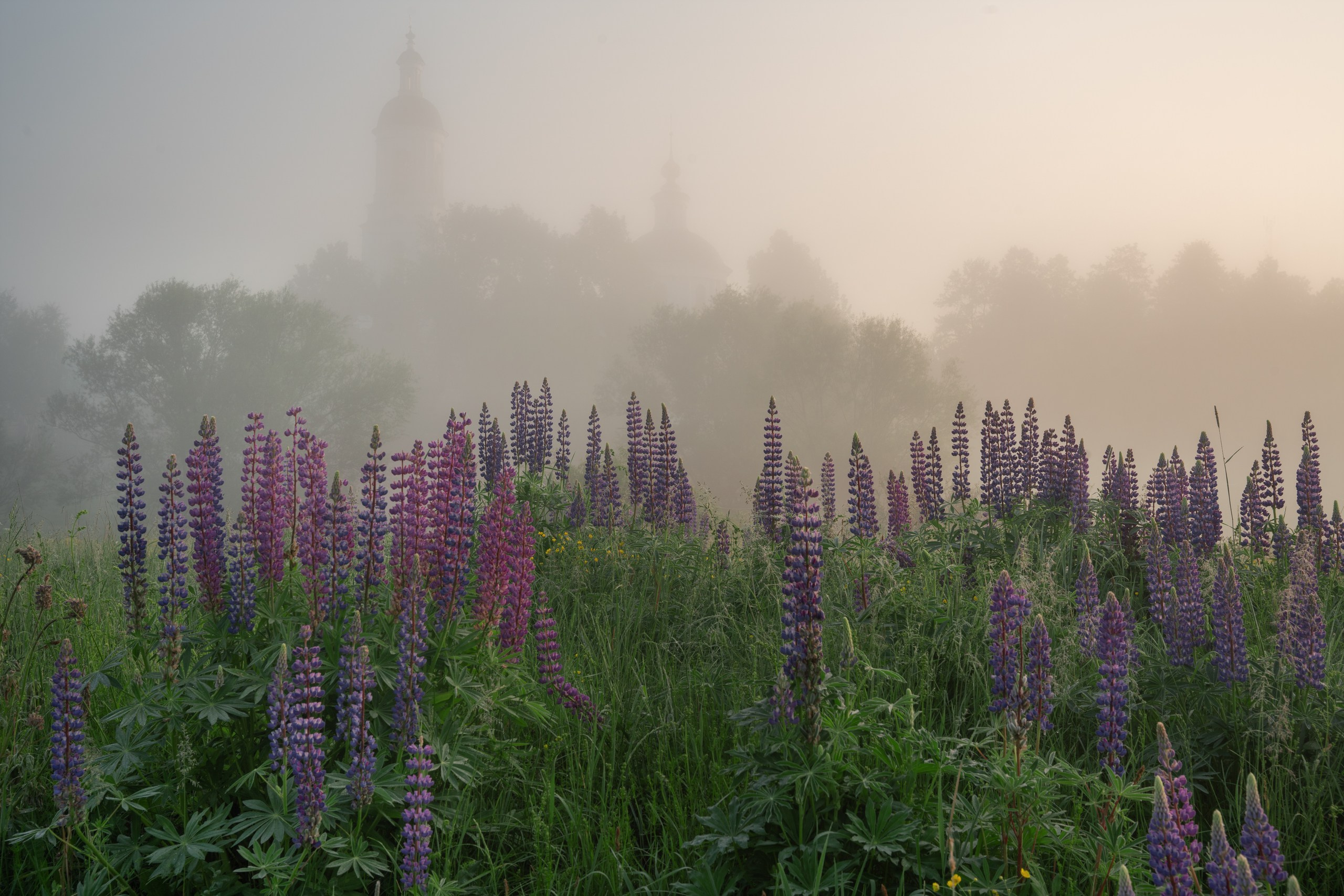 Золотое кольцо. Фотограф в Красноярске Нерозя Александр. Пейзаж, природа, портрет