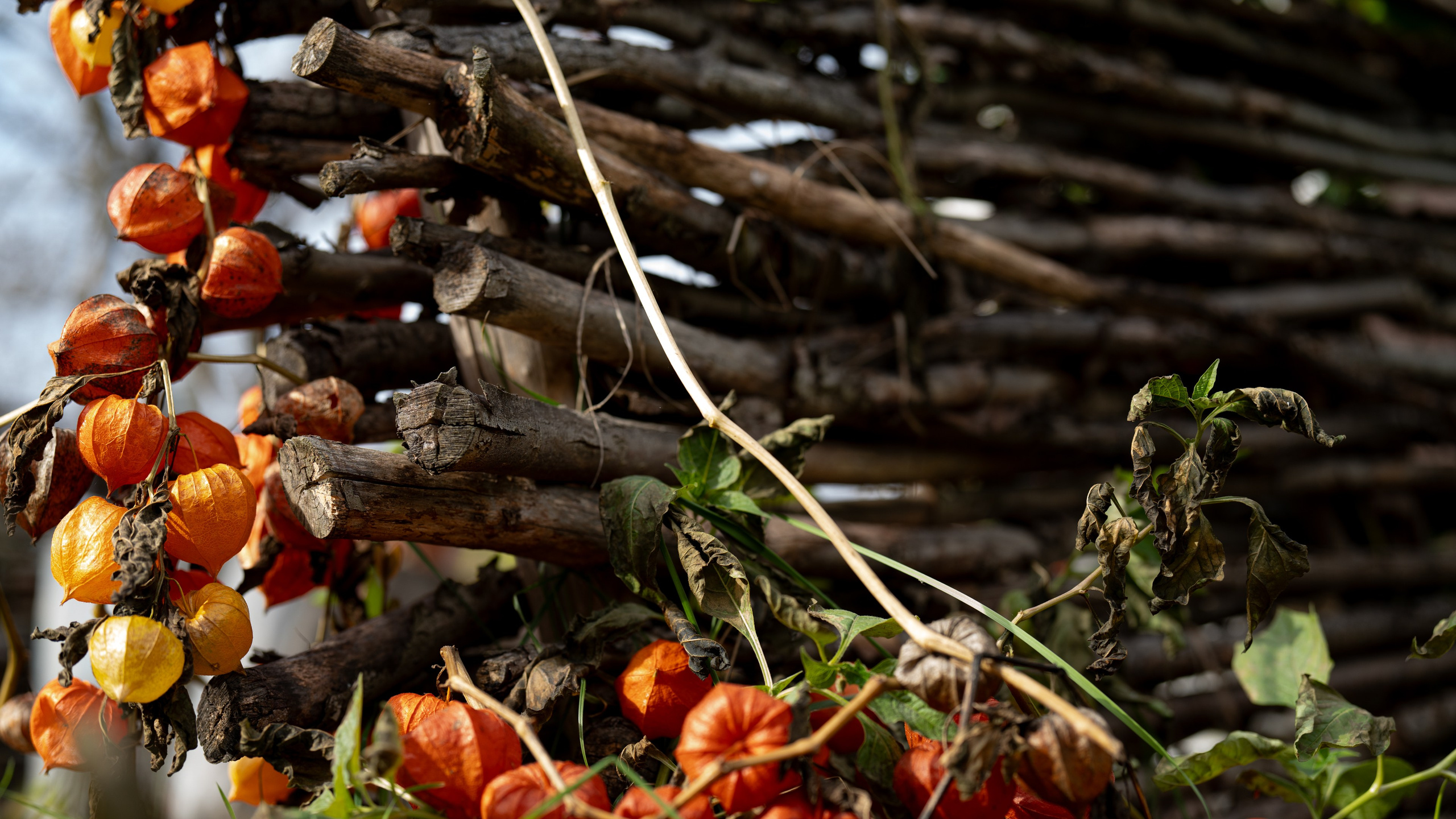 Дача. ПОБУДЬ ЗДЕСЬ И ЦЕЛЕЕ БУДЕТ ЭТОТ МИР