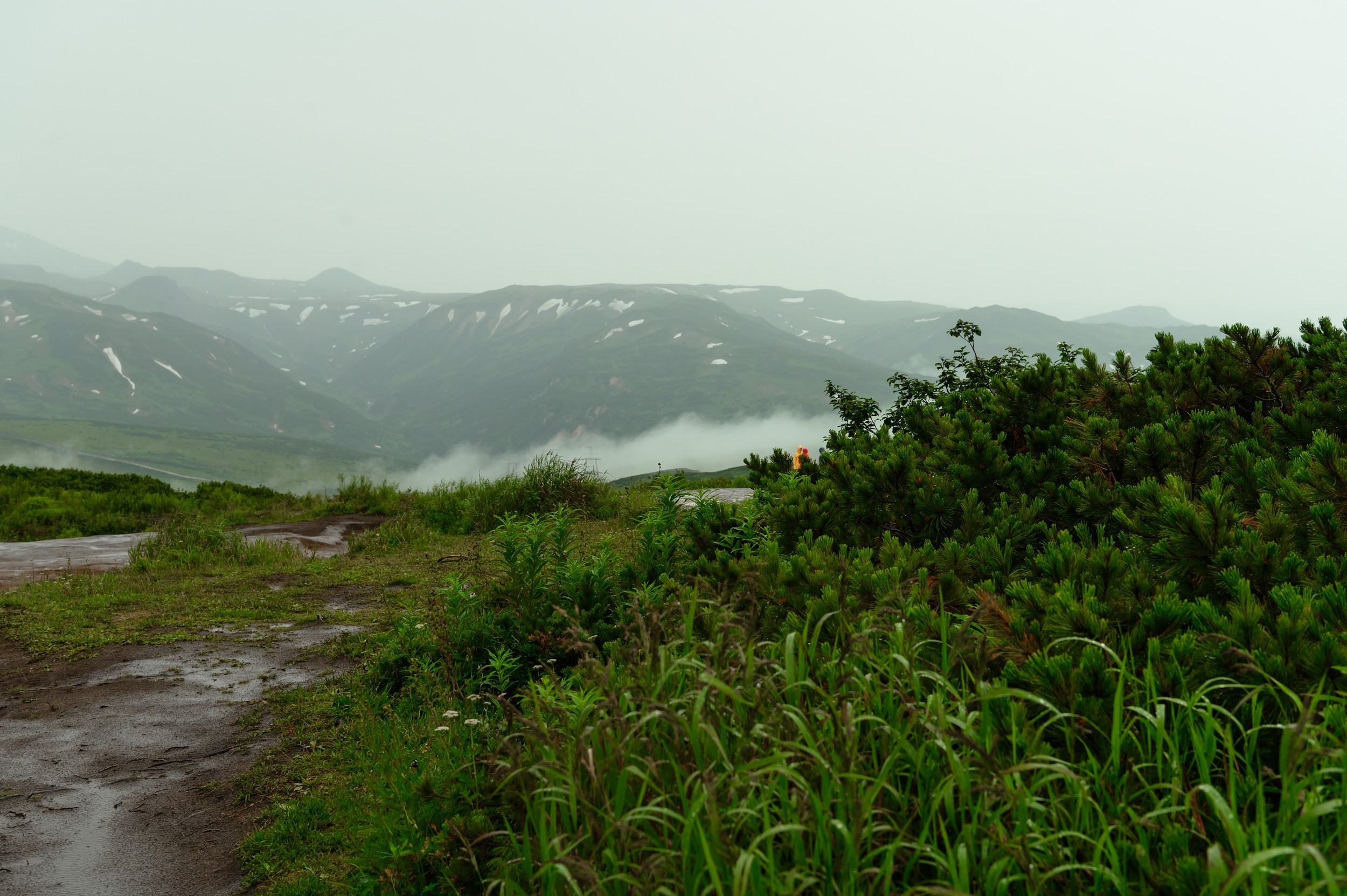 Камчатка 08.2024. Фотограф Марина Росси
