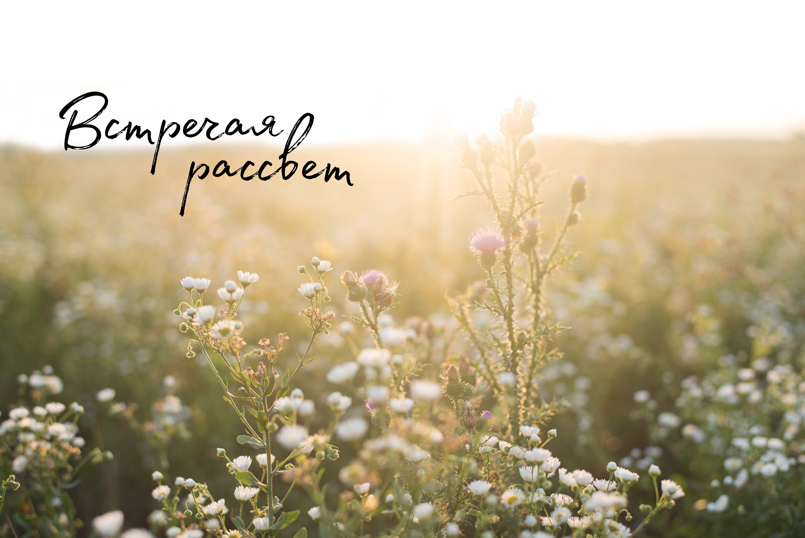 Встречая рассвет