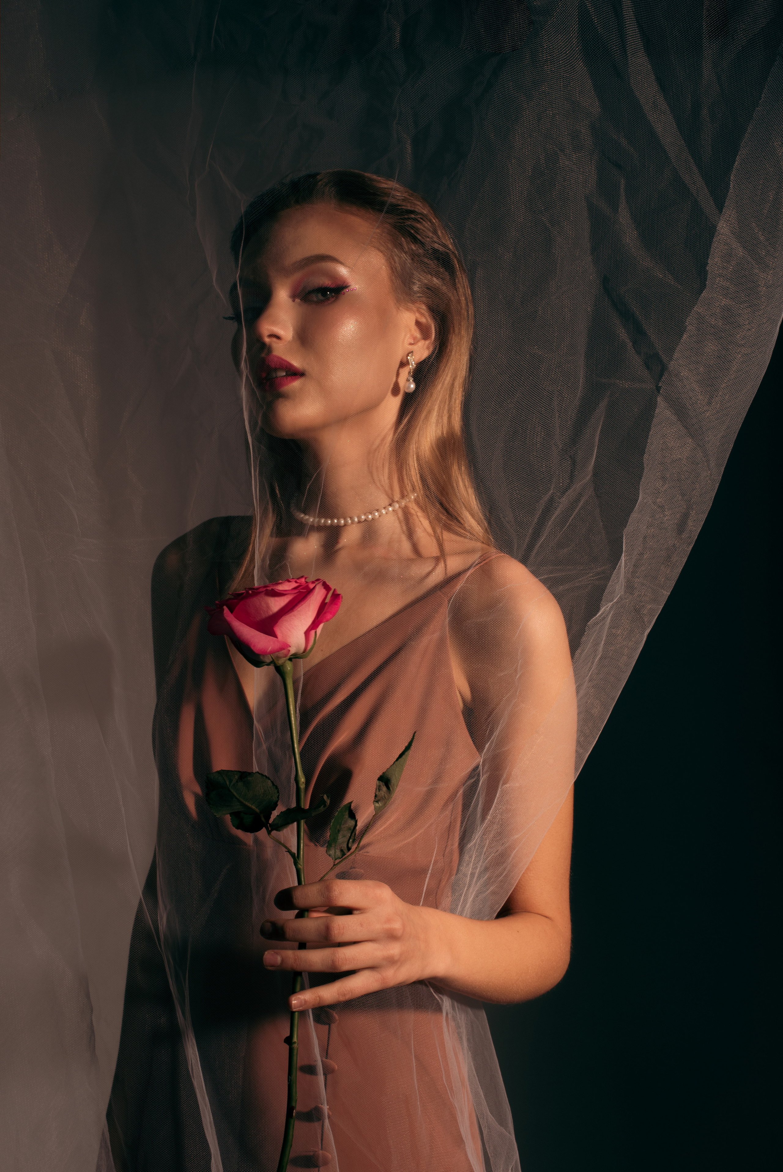 Rose. Коммерческий фотограф Соколовская Анастасия