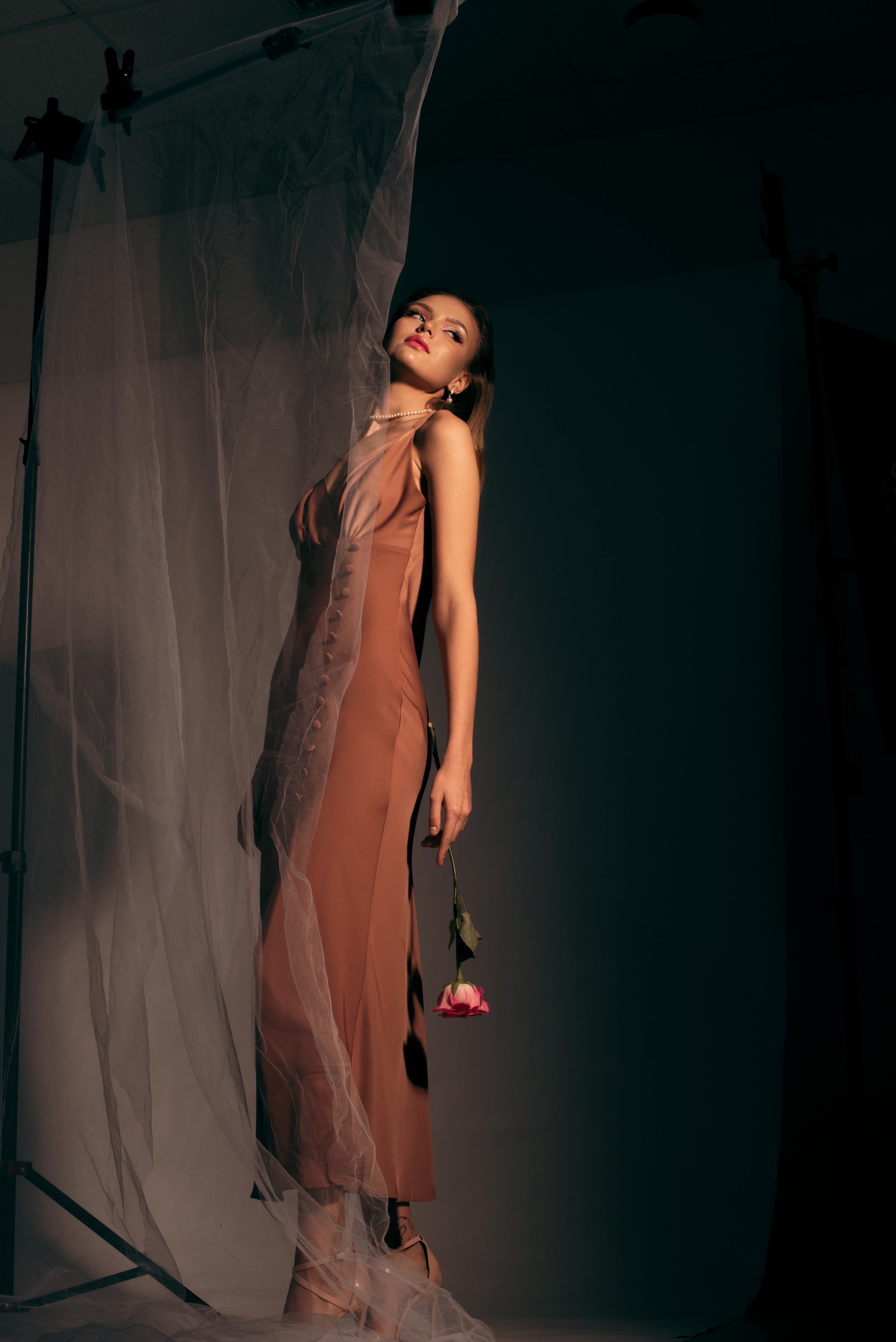 Rose. Коммерческий фотограф Соколовская Анастасия