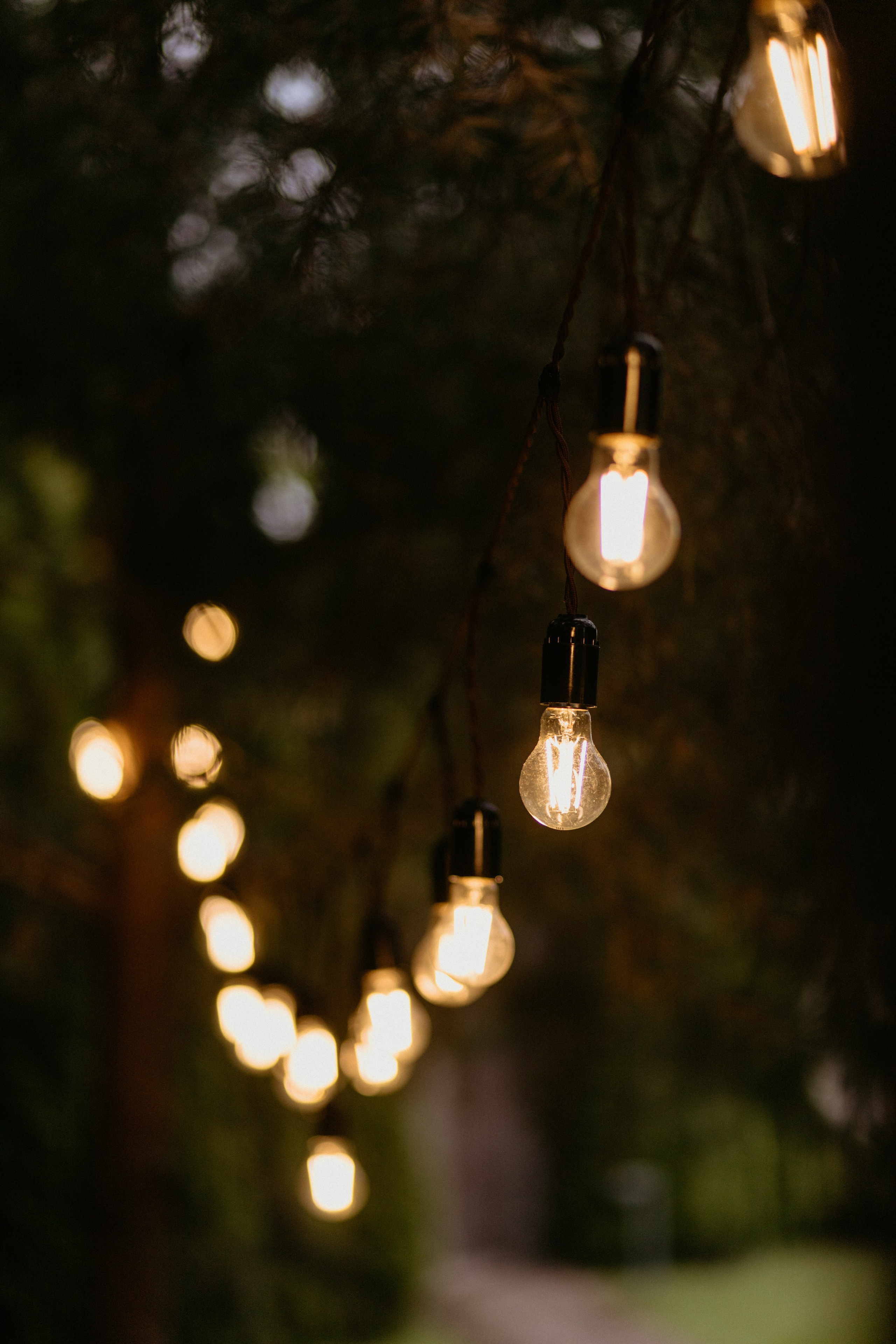 Сева & Таня | DELICE CHALET. Свадебный фотограф в Минске Владислав Бабич