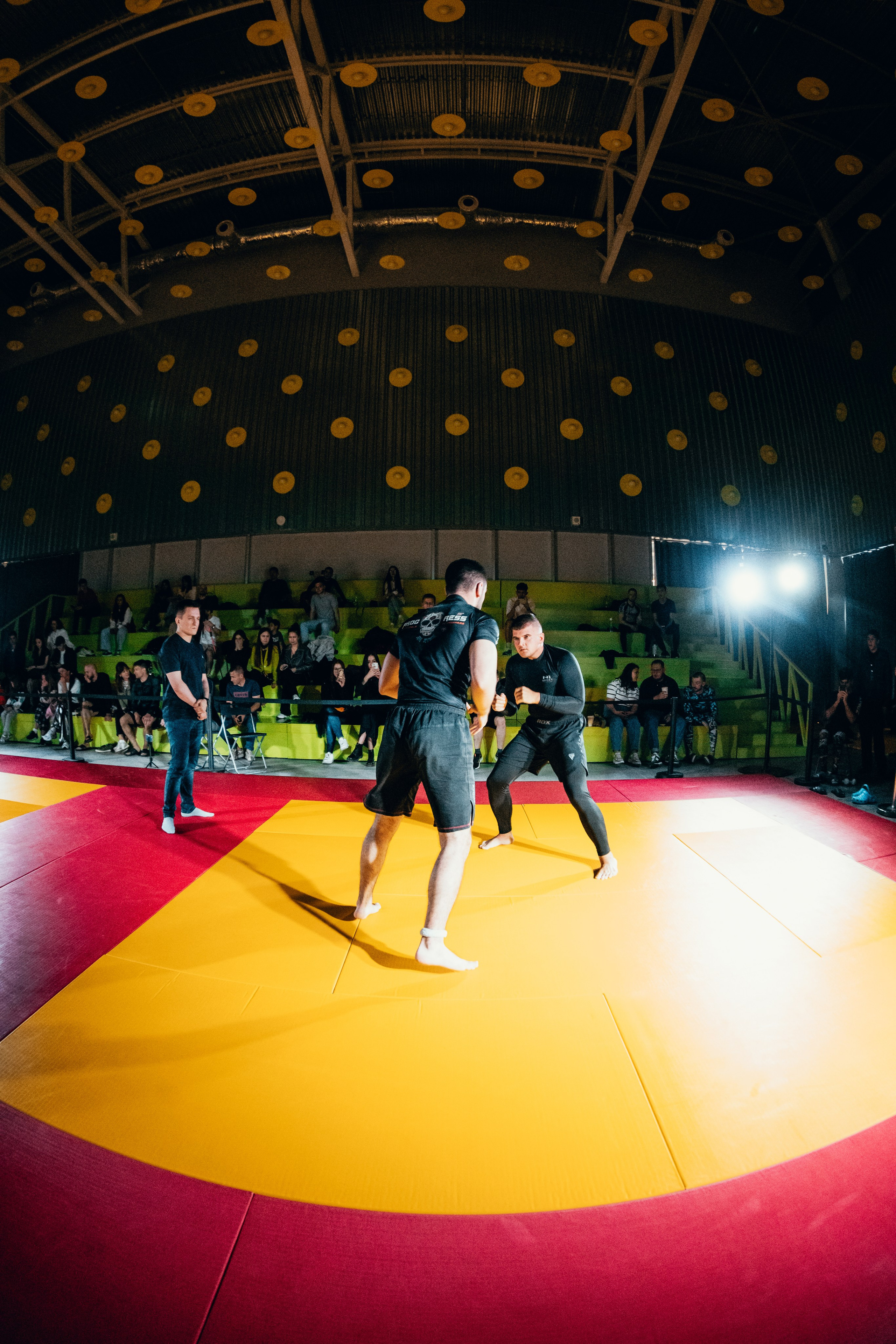 Турнир Teta Promotion 2024. Главная