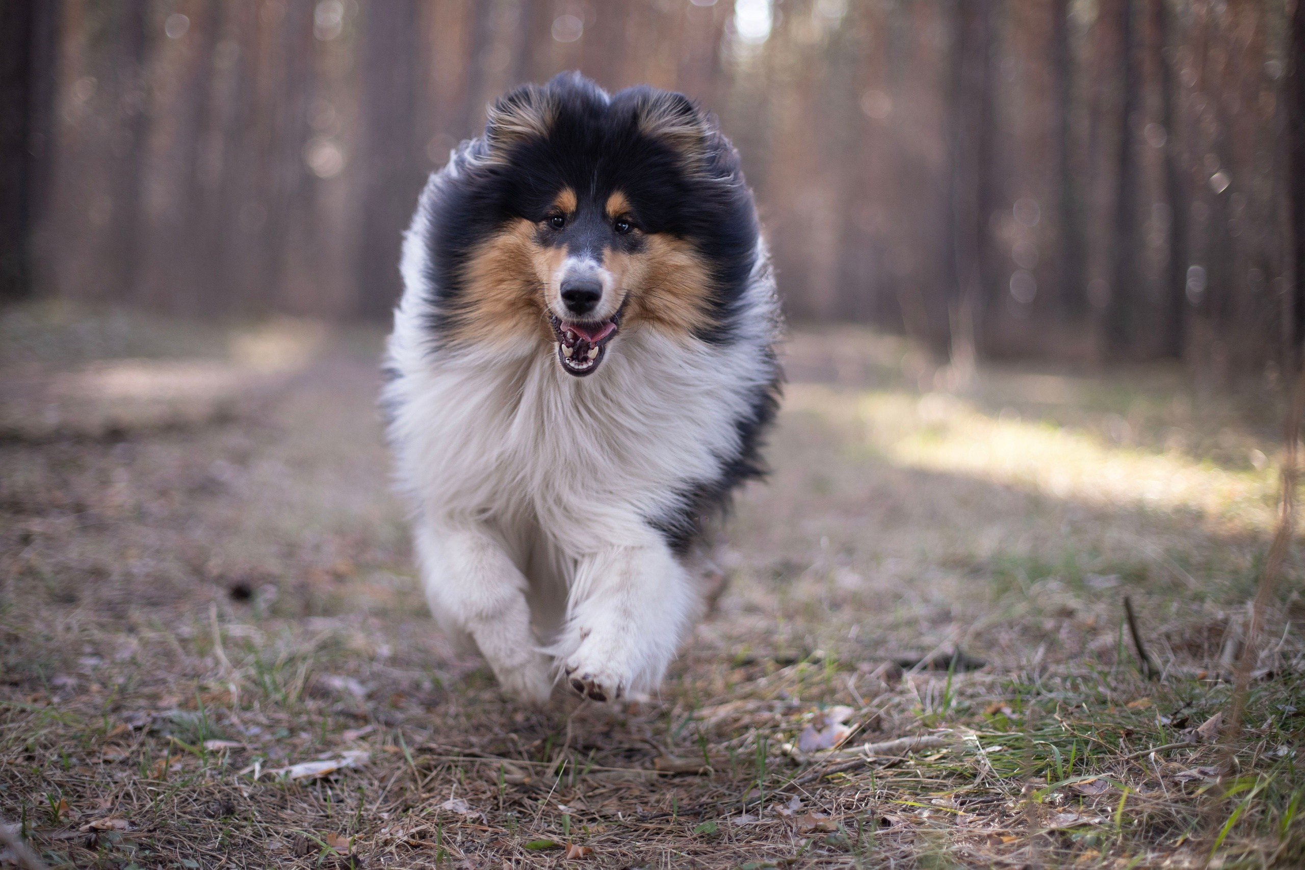 Работы учеников курса по фотографии (вебинар). Наталья Рапопорт. Онлайн-курсы по фотографии и съемке видео