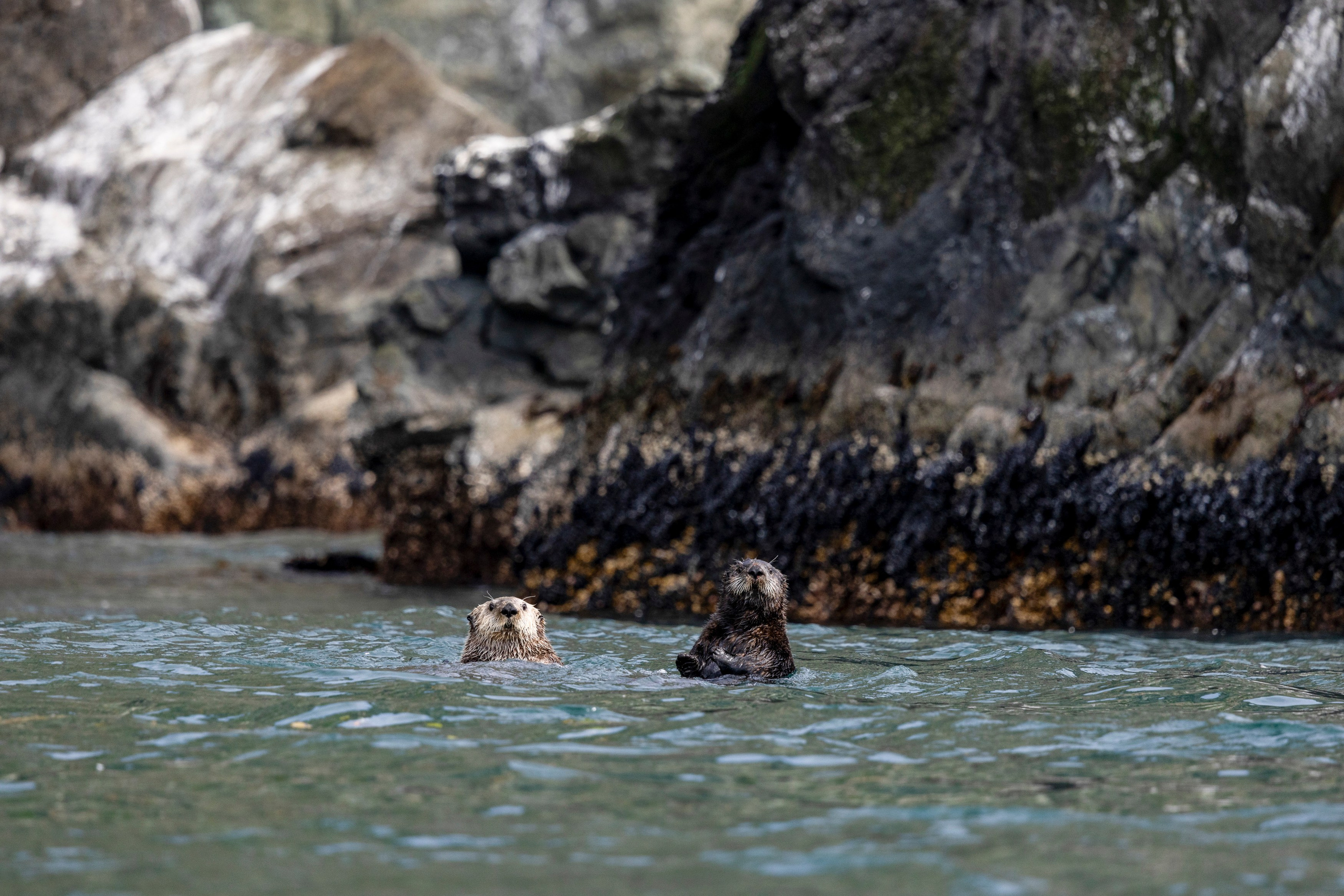 Камчатка + Сахалин — экспедиция в два региона за одну поездку. Время Камчатки: чтобы найти свой путь, нужно скорость умножить на время