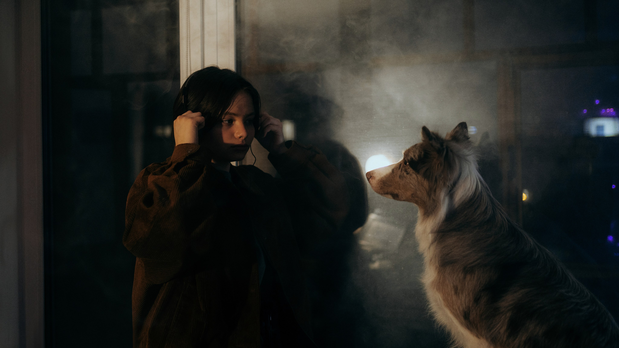 Аня и Дэймон. Фотограф-анималист Богданова Полина