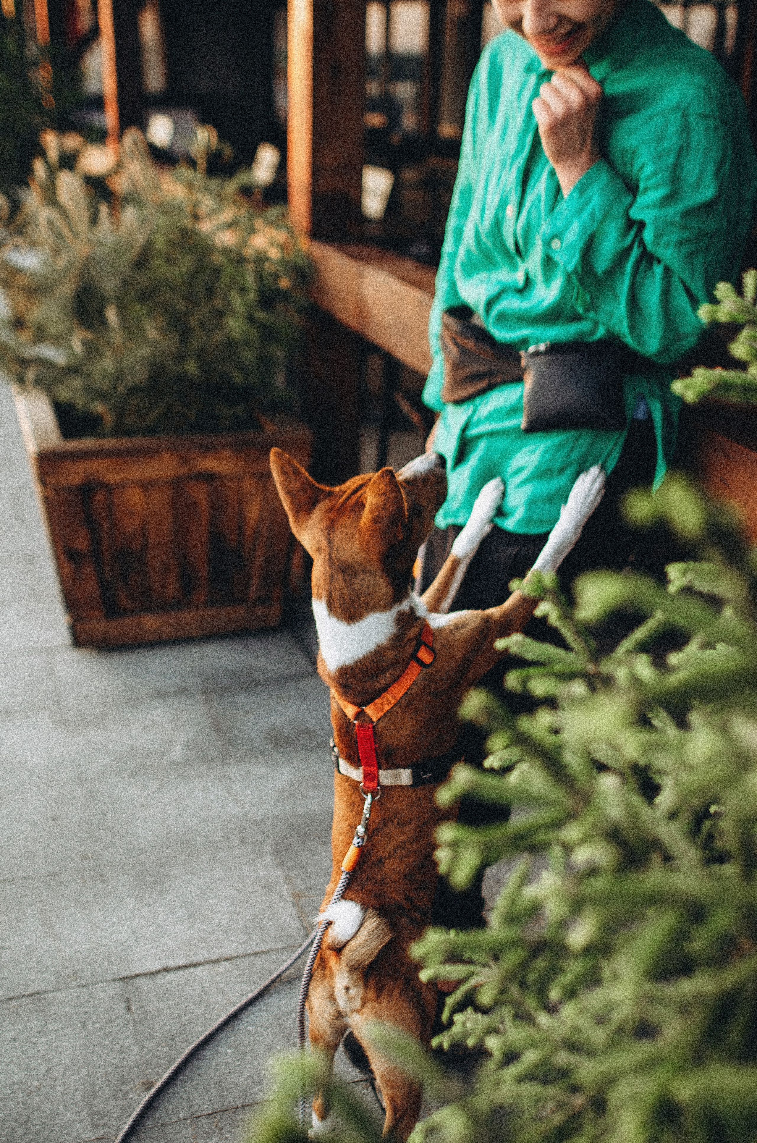 Снежана и Мэнни. Фотограф-анималист Богданова Полина