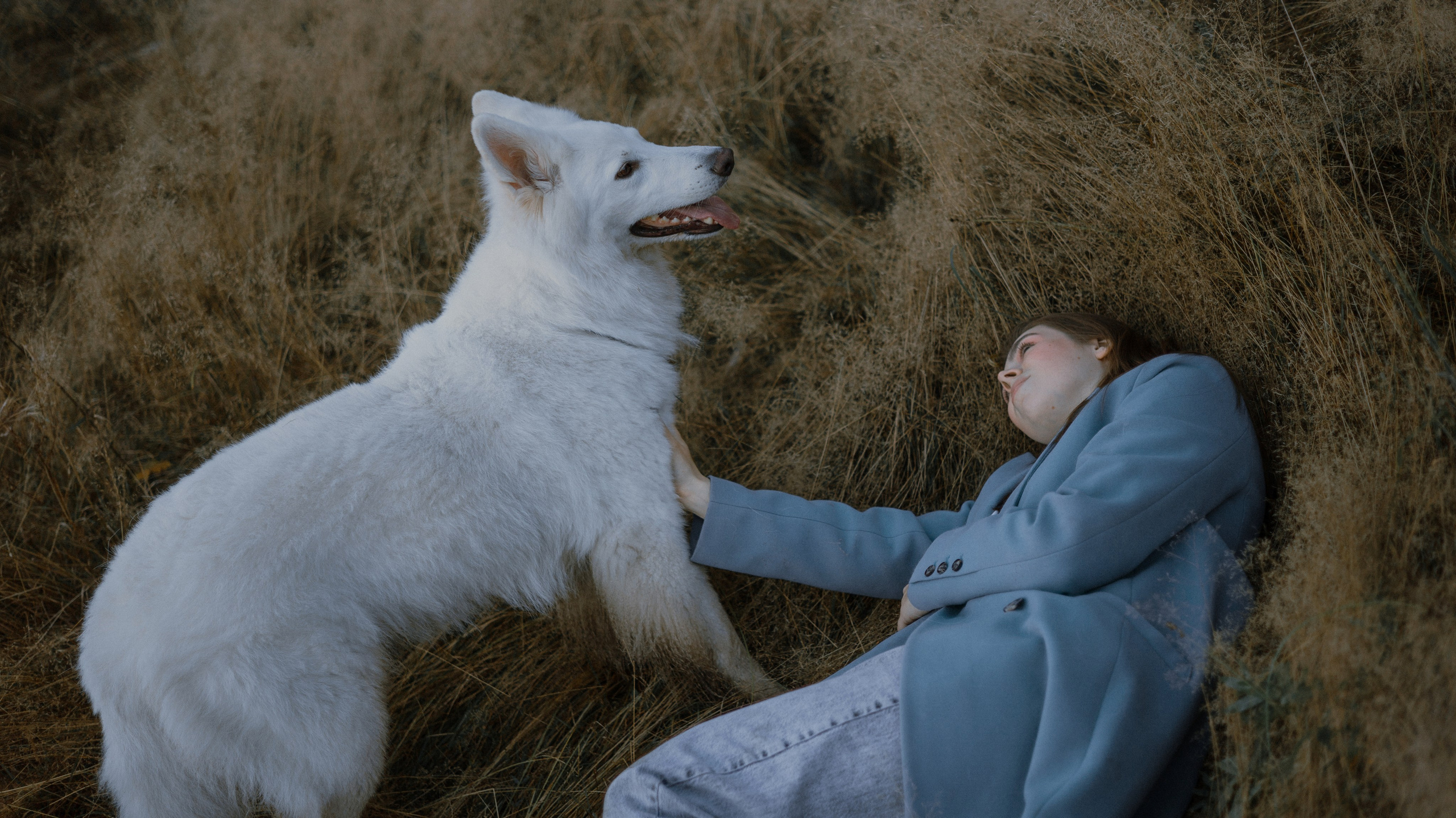 Вика и Уля. Фотограф-анималист Богданова Полина