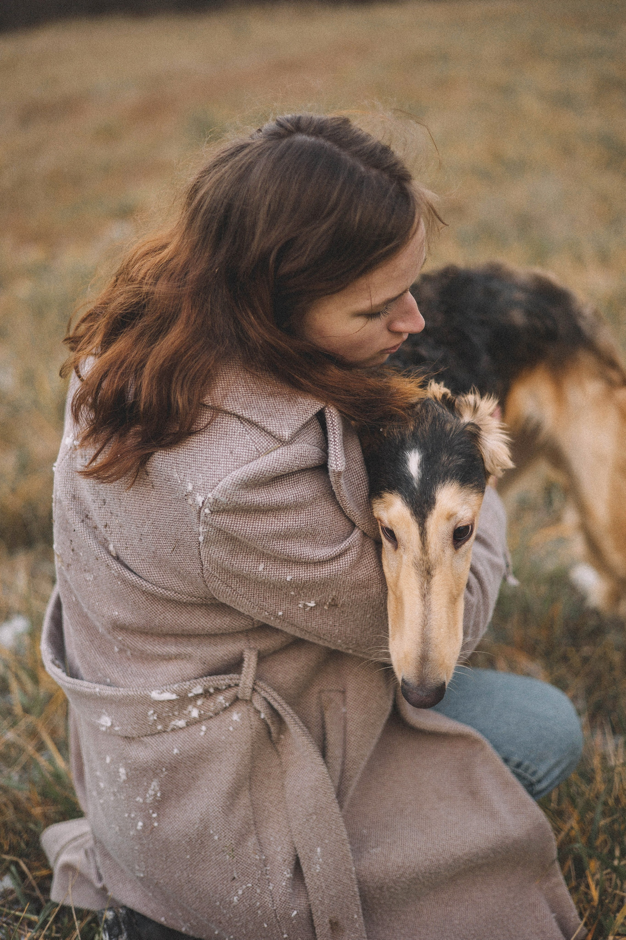Алена, Леви и Микаса. Фотограф-анималист Богданова Полина