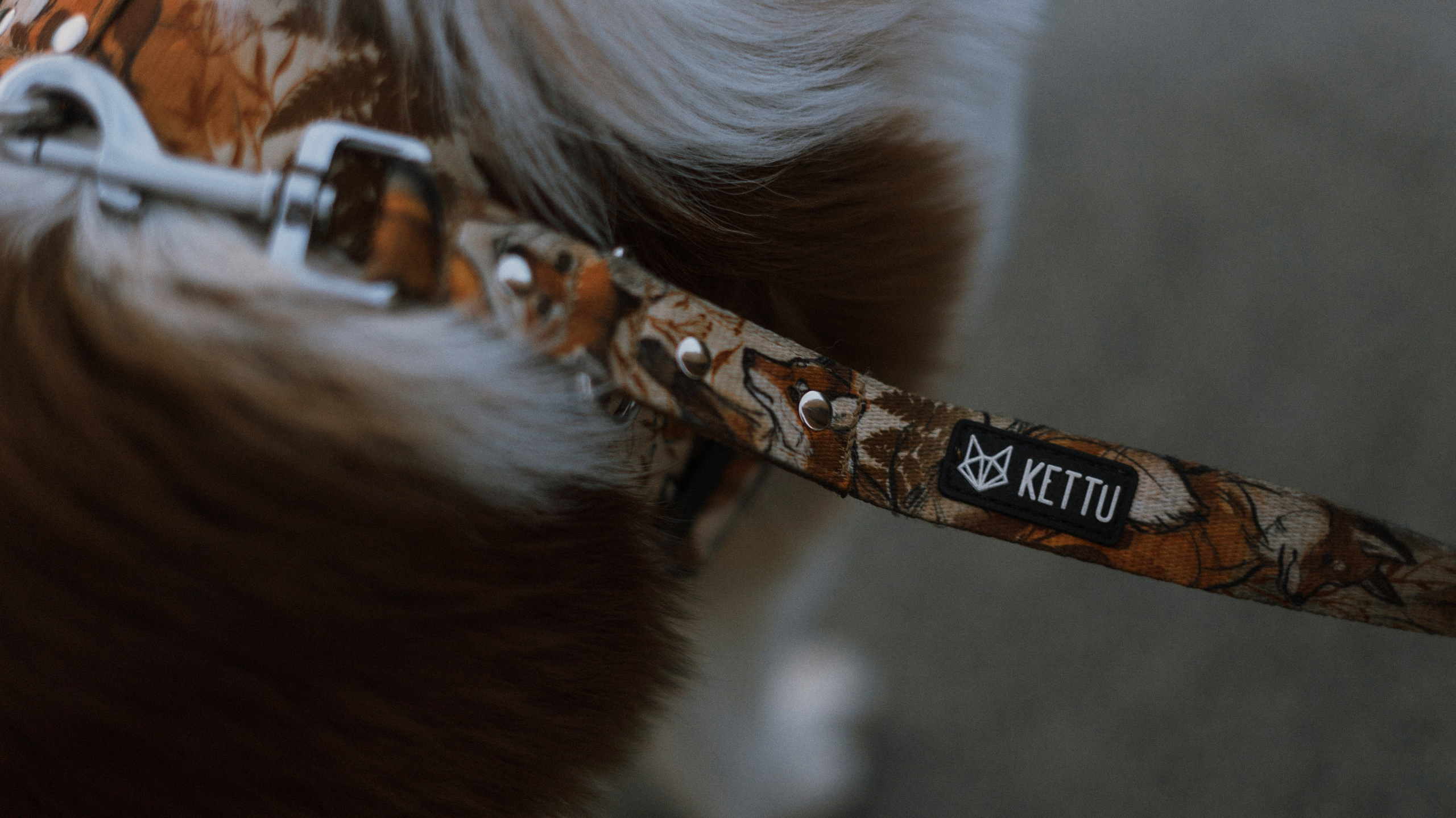 Светлана и Оливия. Фотограф-анималист Богданова Полина