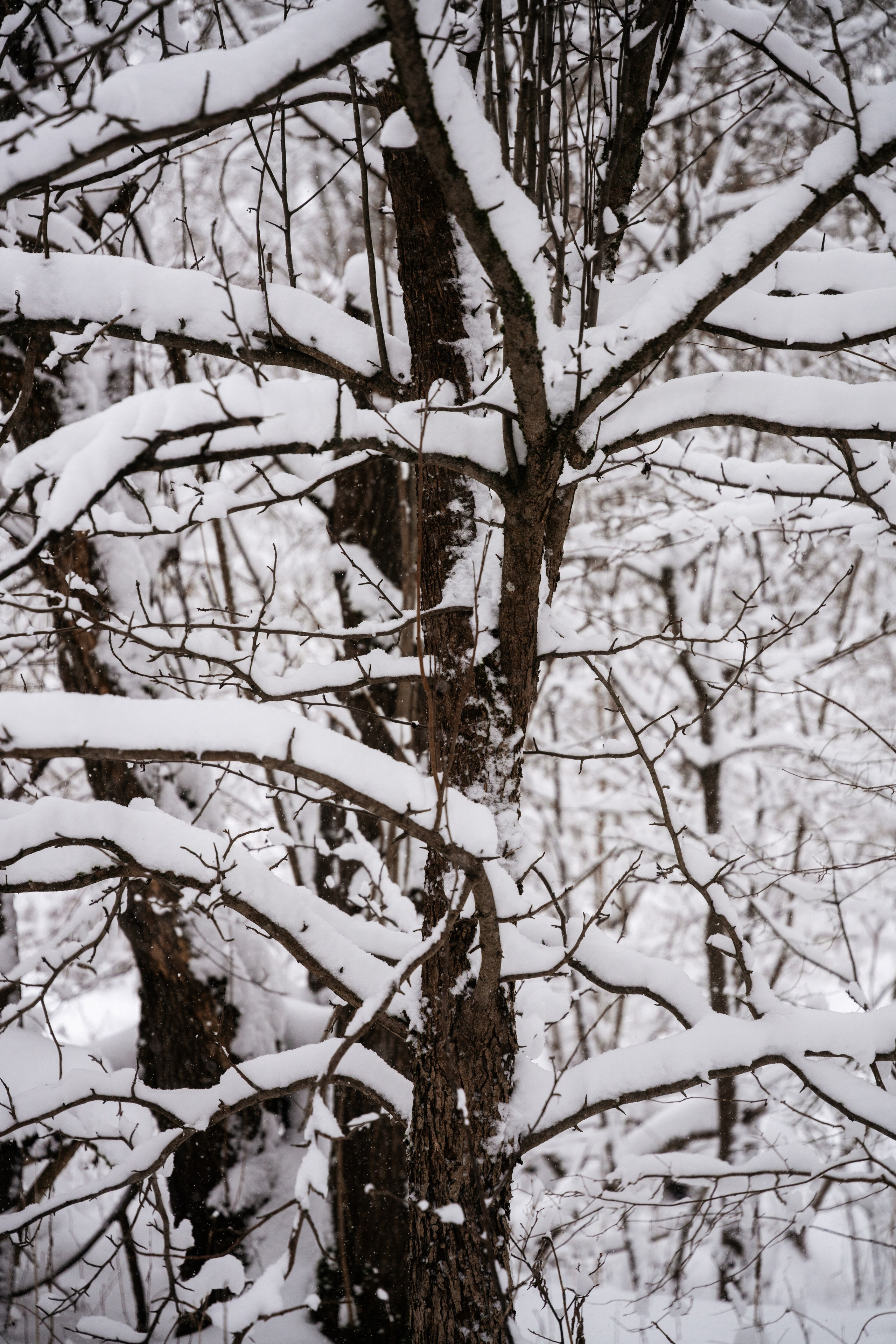 Поездка к р. Песочня и деревне Раевское. Vlad Trykov