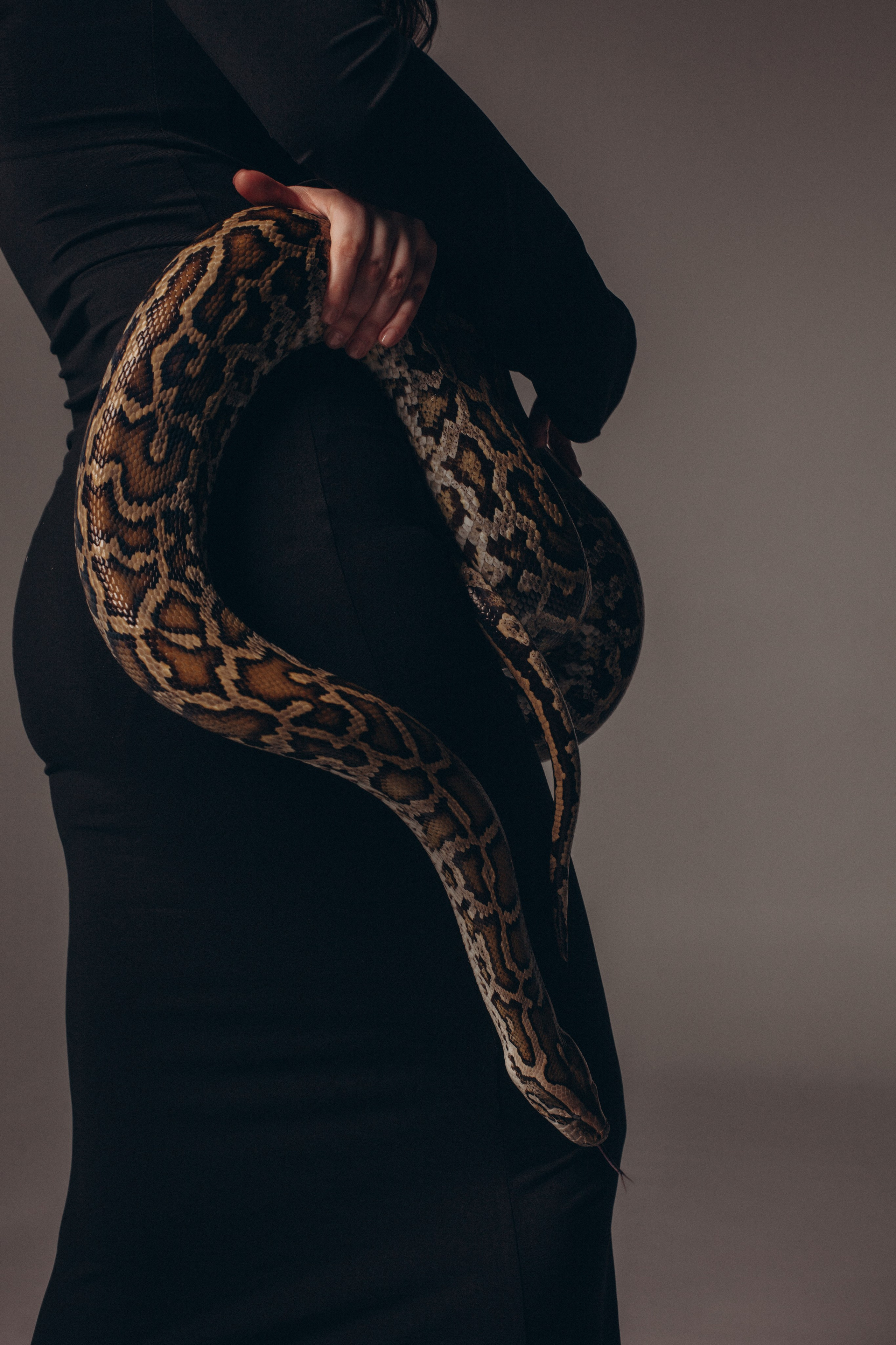 Змеи. Фотограф Алёна Сергеевна Aloha_chë