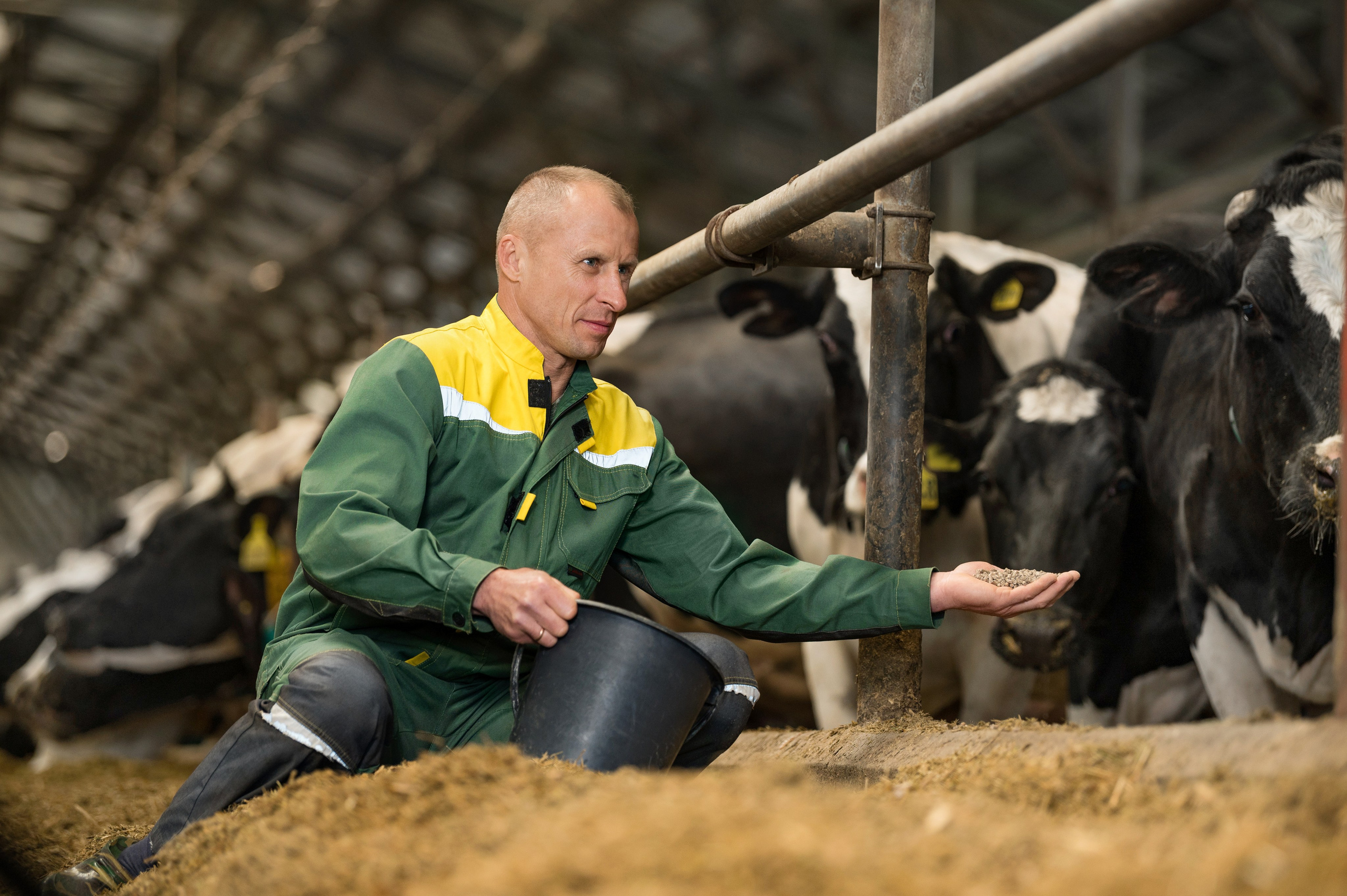 Проекты. Профессиональный фотограф Вячеслав Плацында | Липецк |