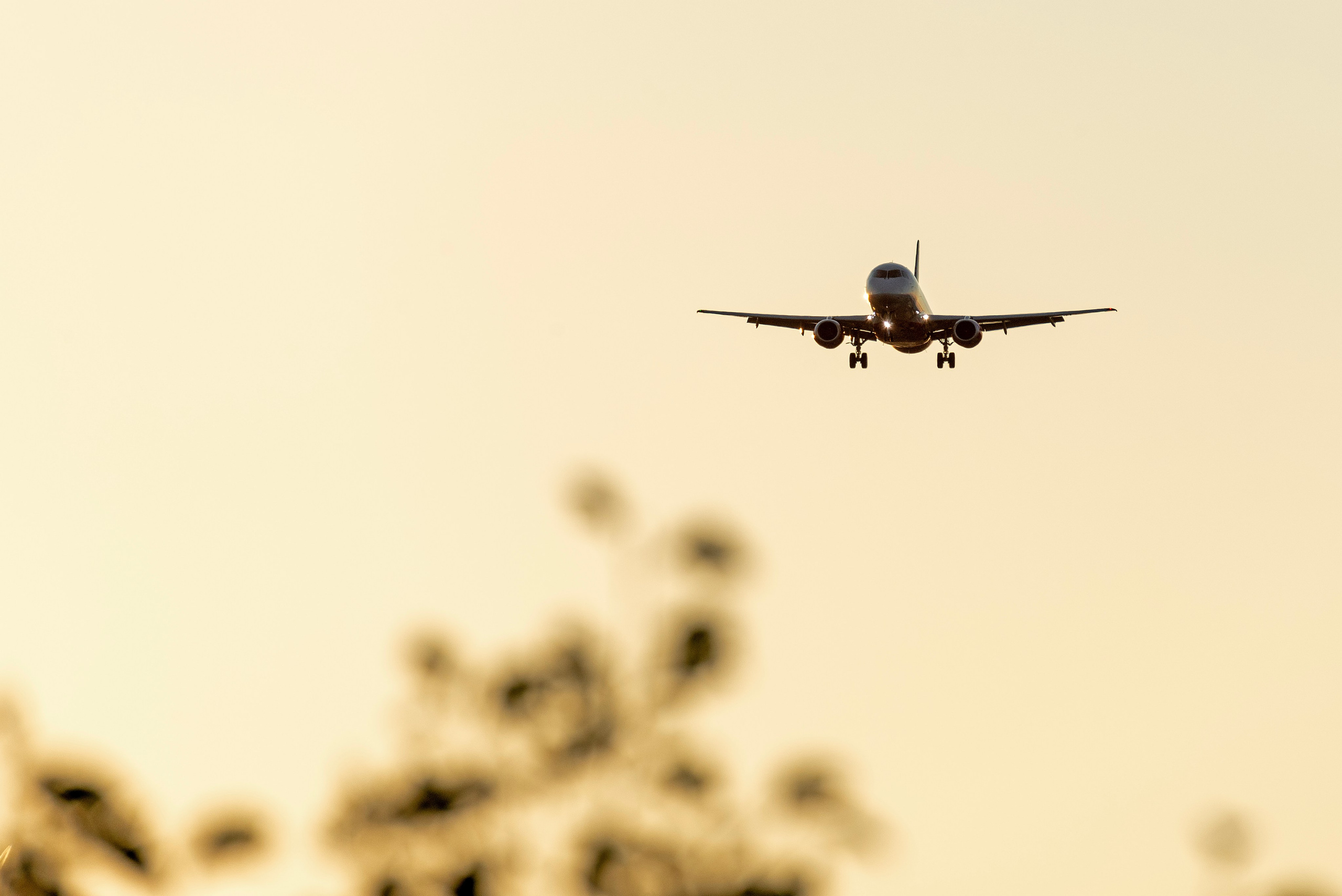 Авиация: самолеты, вертолеты, небесные зарисовки. От прошлого к будущему авиации через фотографию