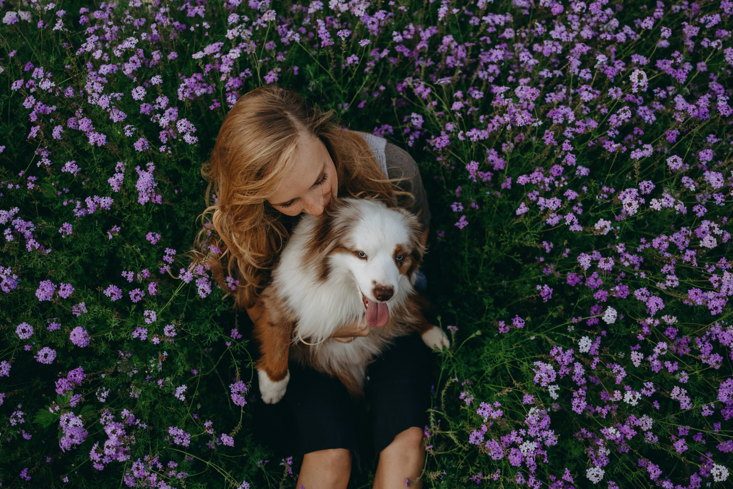 Маша и Эклер. Фотограф — Анималист | Санкт-Петербург