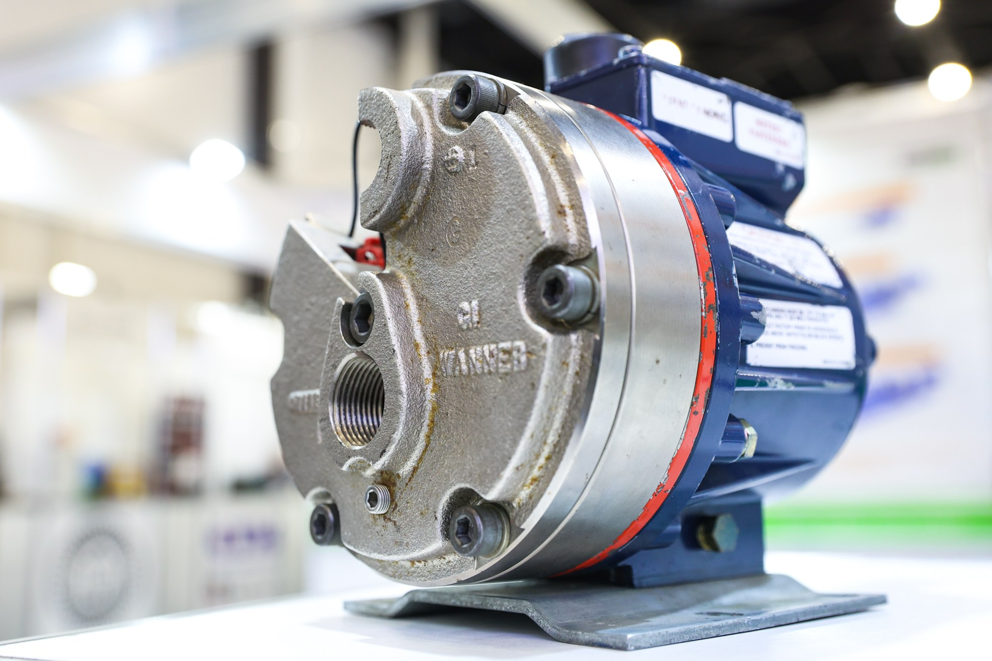 PulpFor 2024. Фотограф Дарья Попова