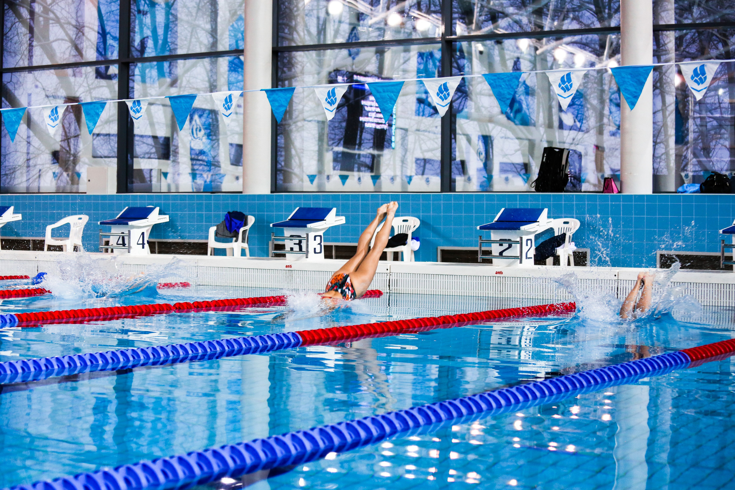 Соревнования по плаванию. Репортажный, семейный, свадебный, портретный фотограф