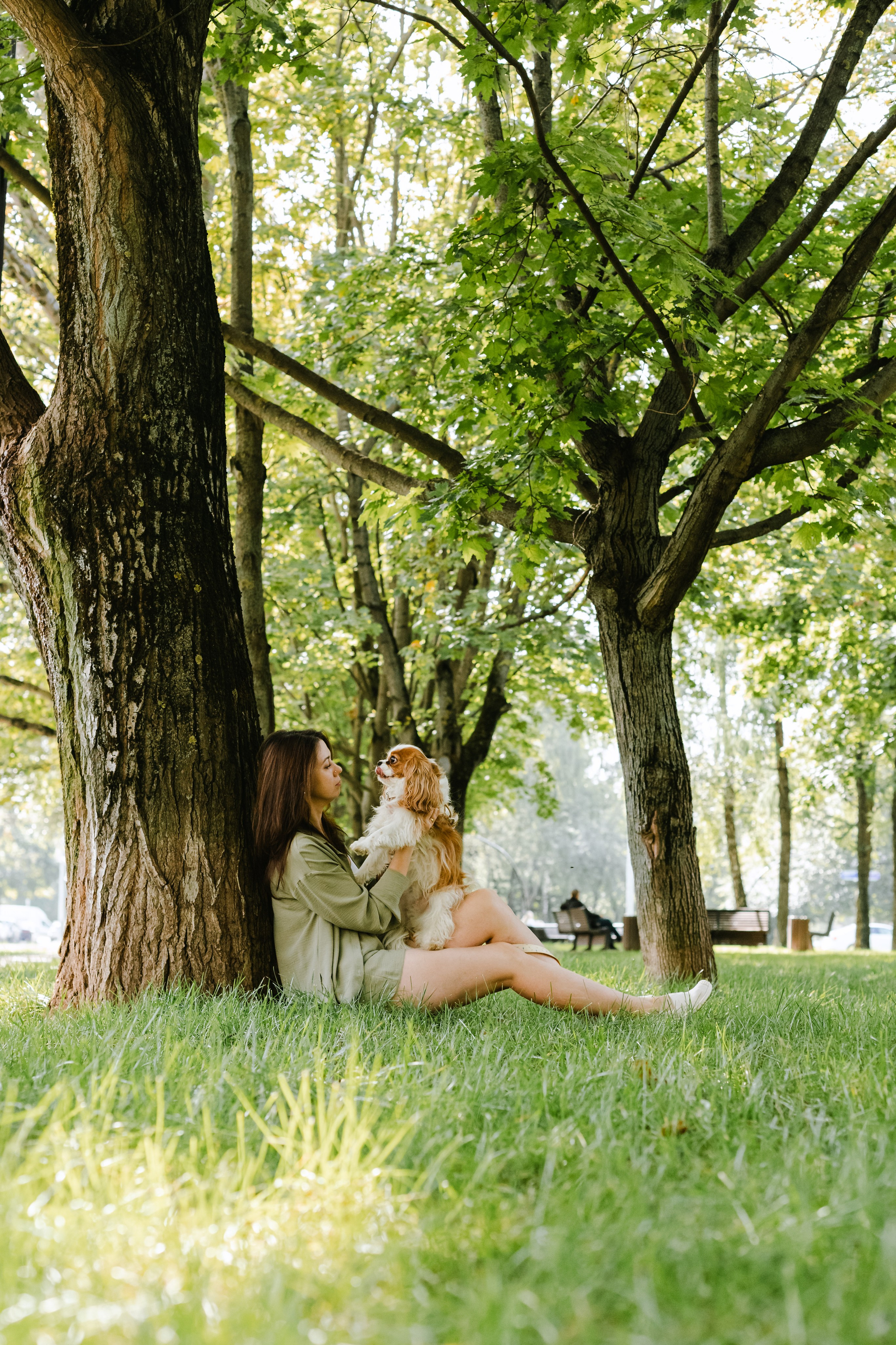 Фотопрогулка на бульваре. Фотограф-анималист Татьяна Степанова