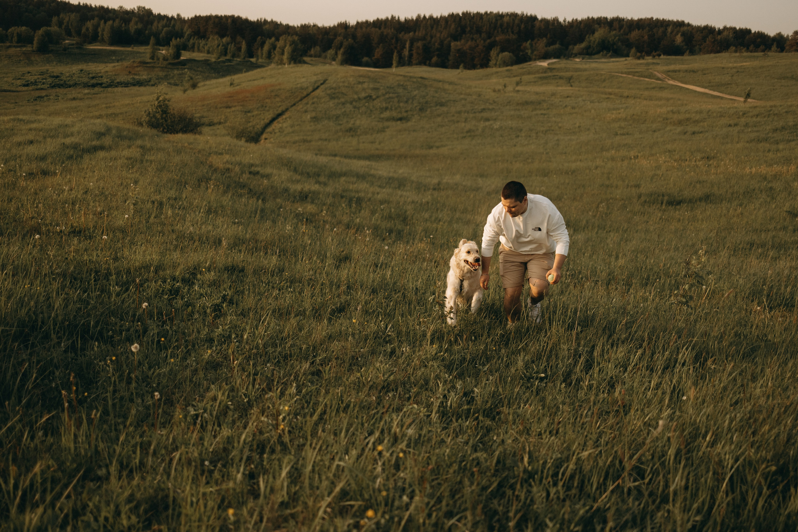Милка и ребята. Фотограф — Анималист | Санкт-Петербург