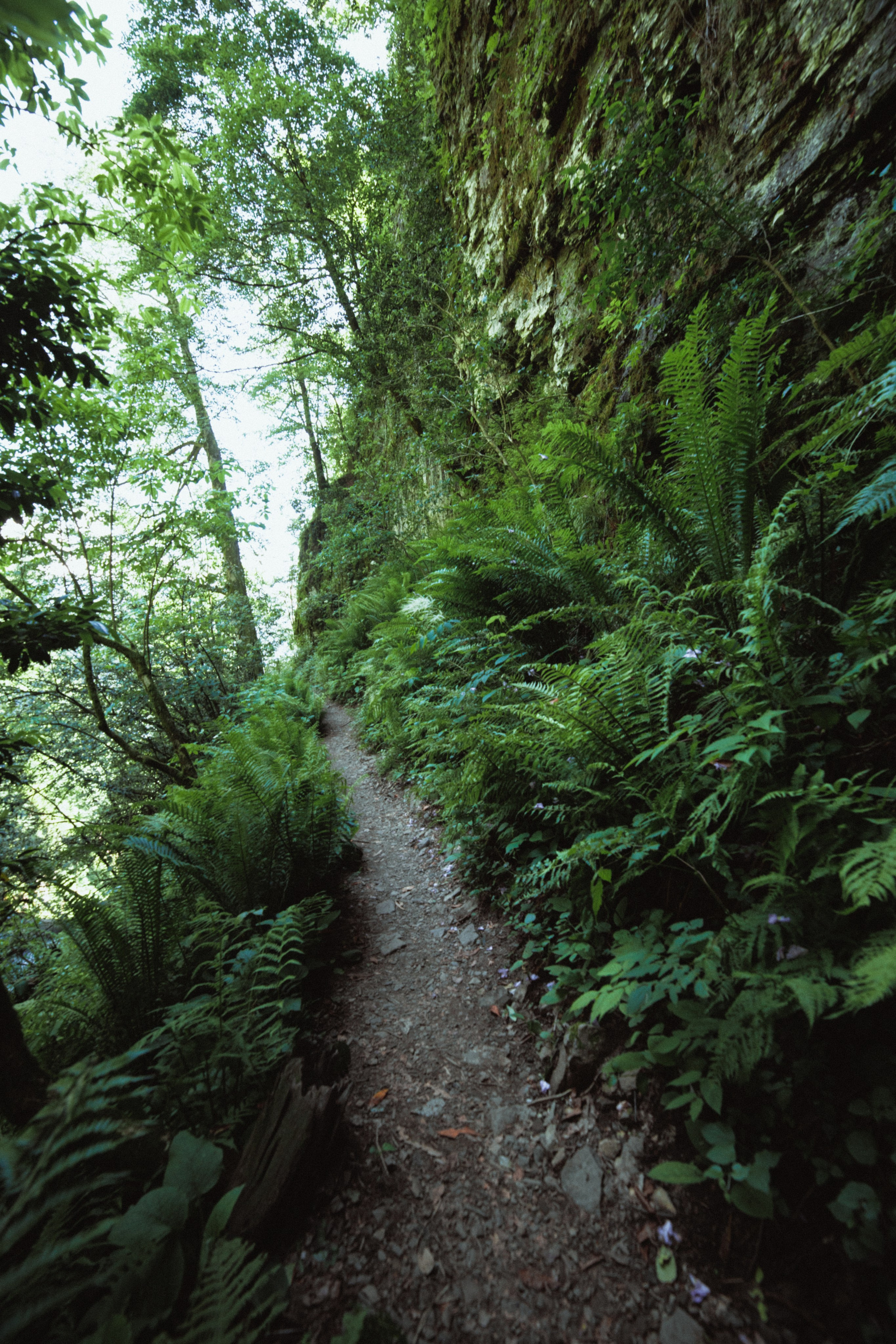 Nature. Артем Корнев Фотограф