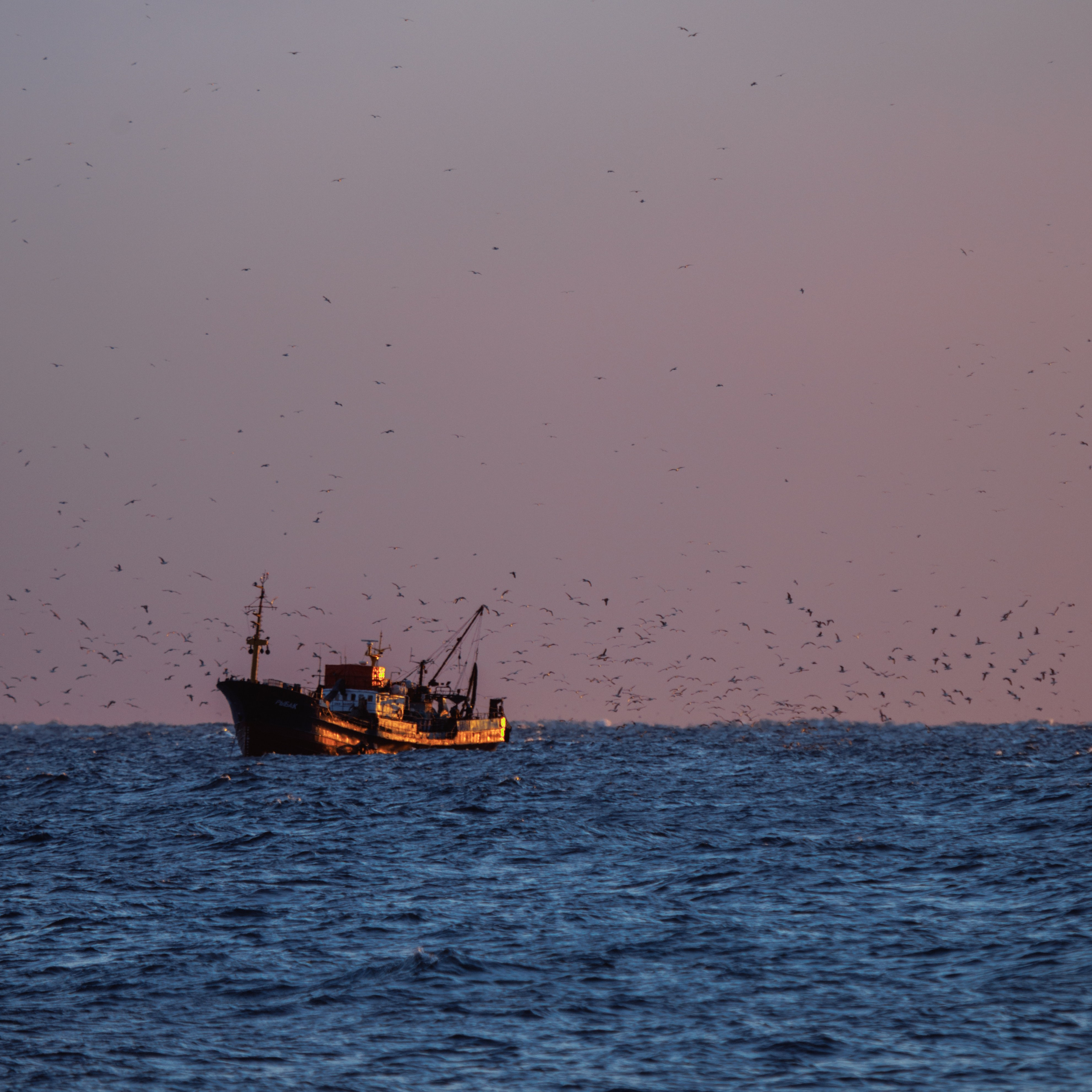 Nature. Артем Корнев Фотограф