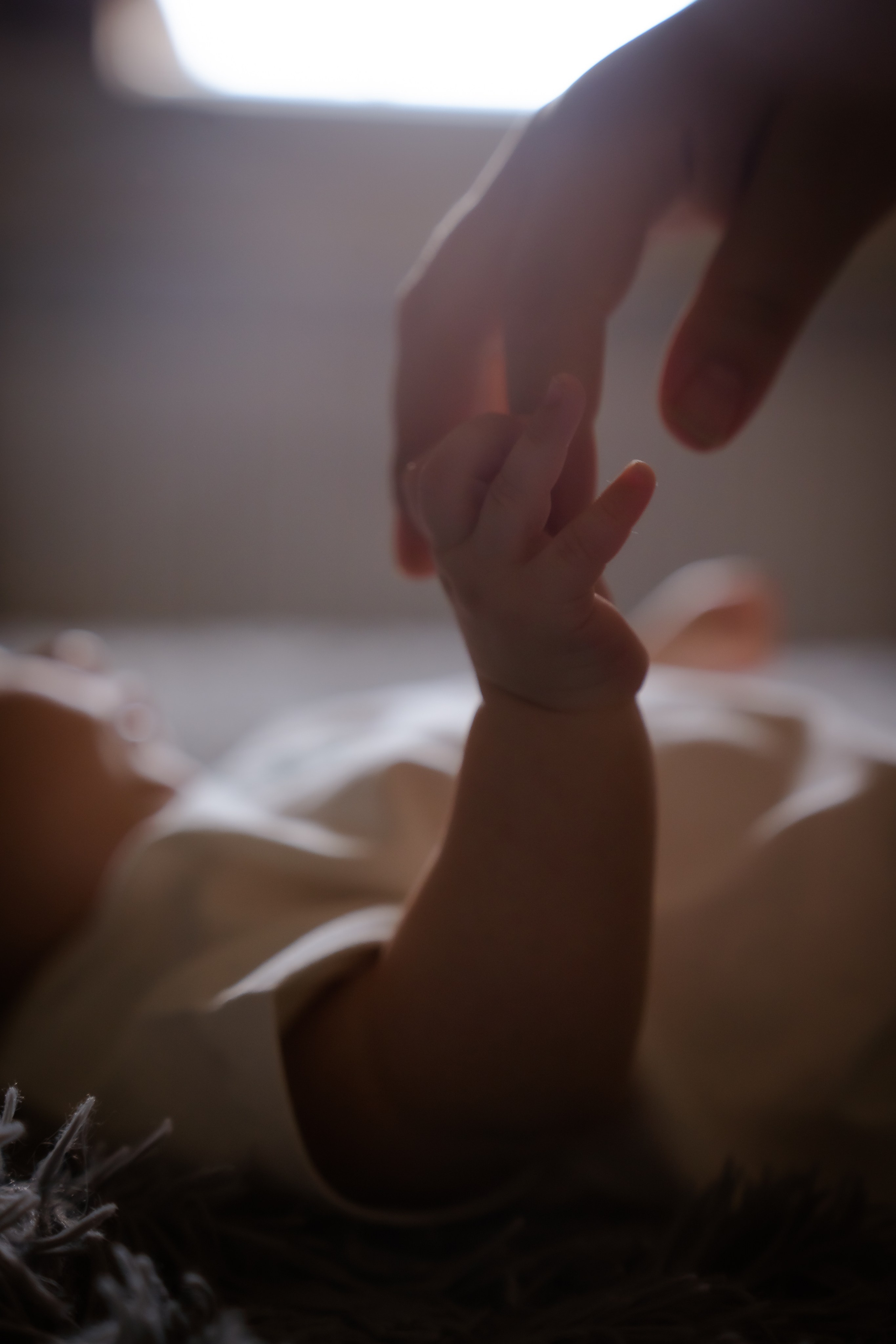 Кроха. Фотограф в Ростове-на-Дону Анна Малахова